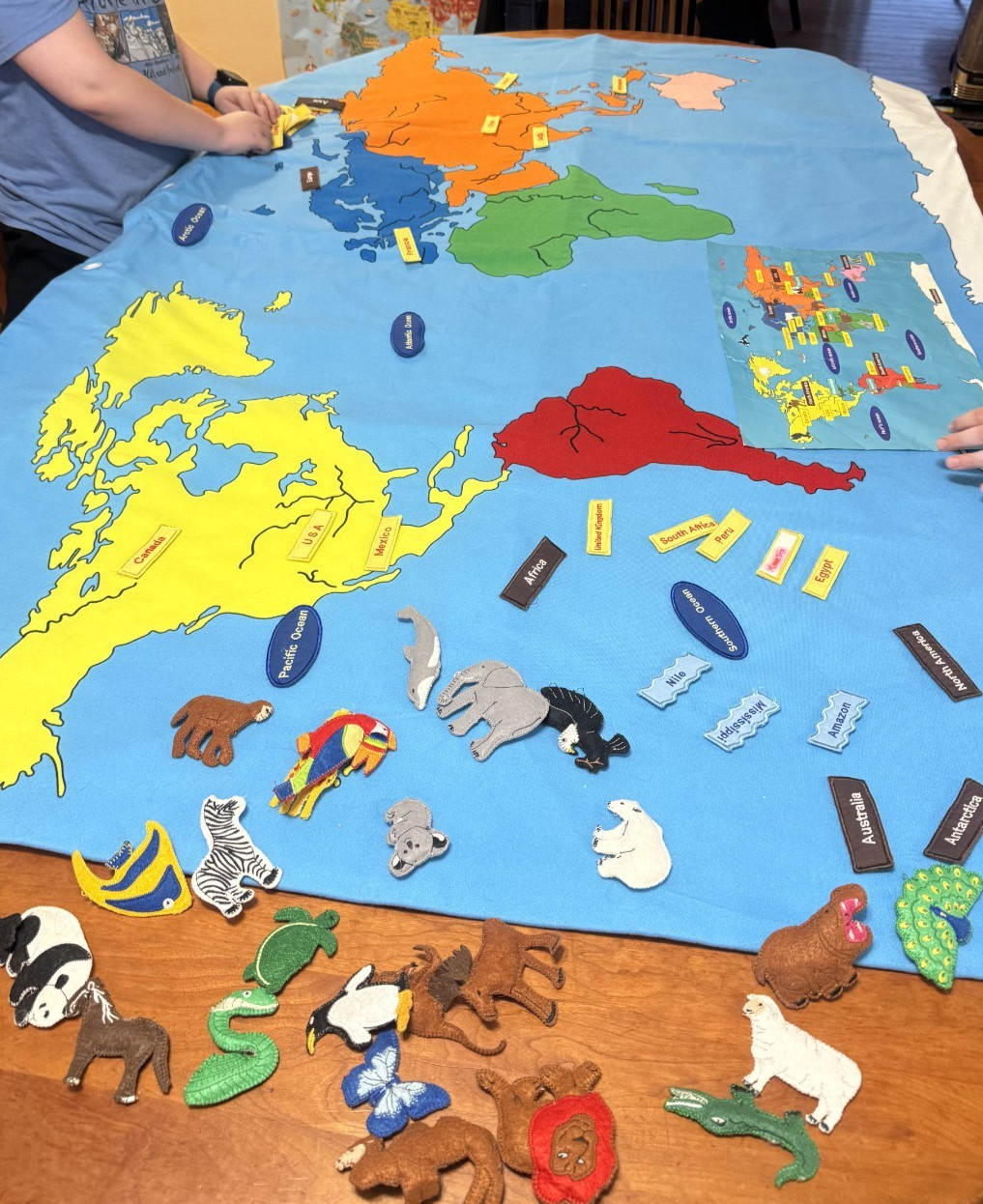 FAO Schwarz Educational 47″ x 71″ The Big Map Discover the Big Wide World