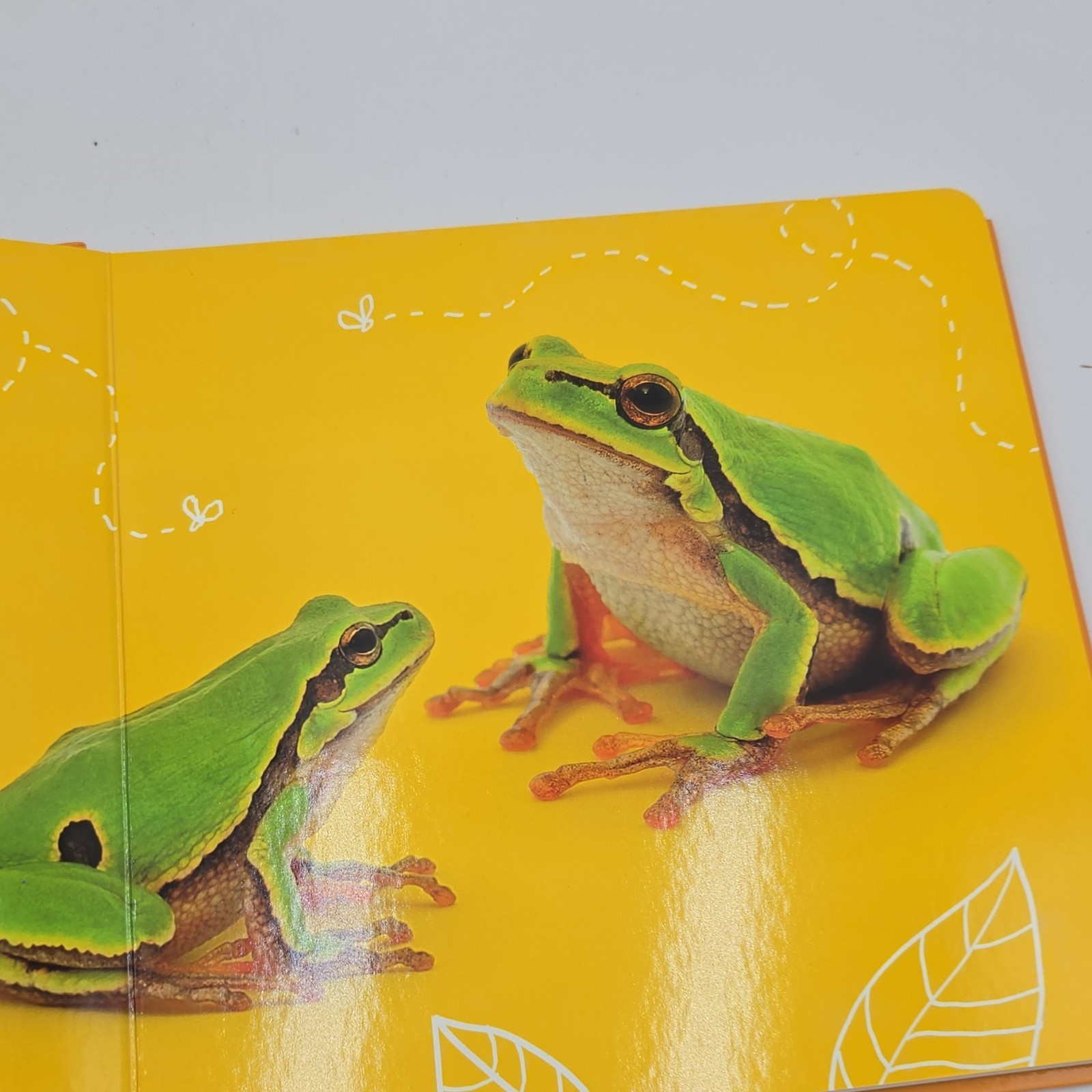 Clever Numbers Board Book Russian Educational Photo Book 1-3 Years