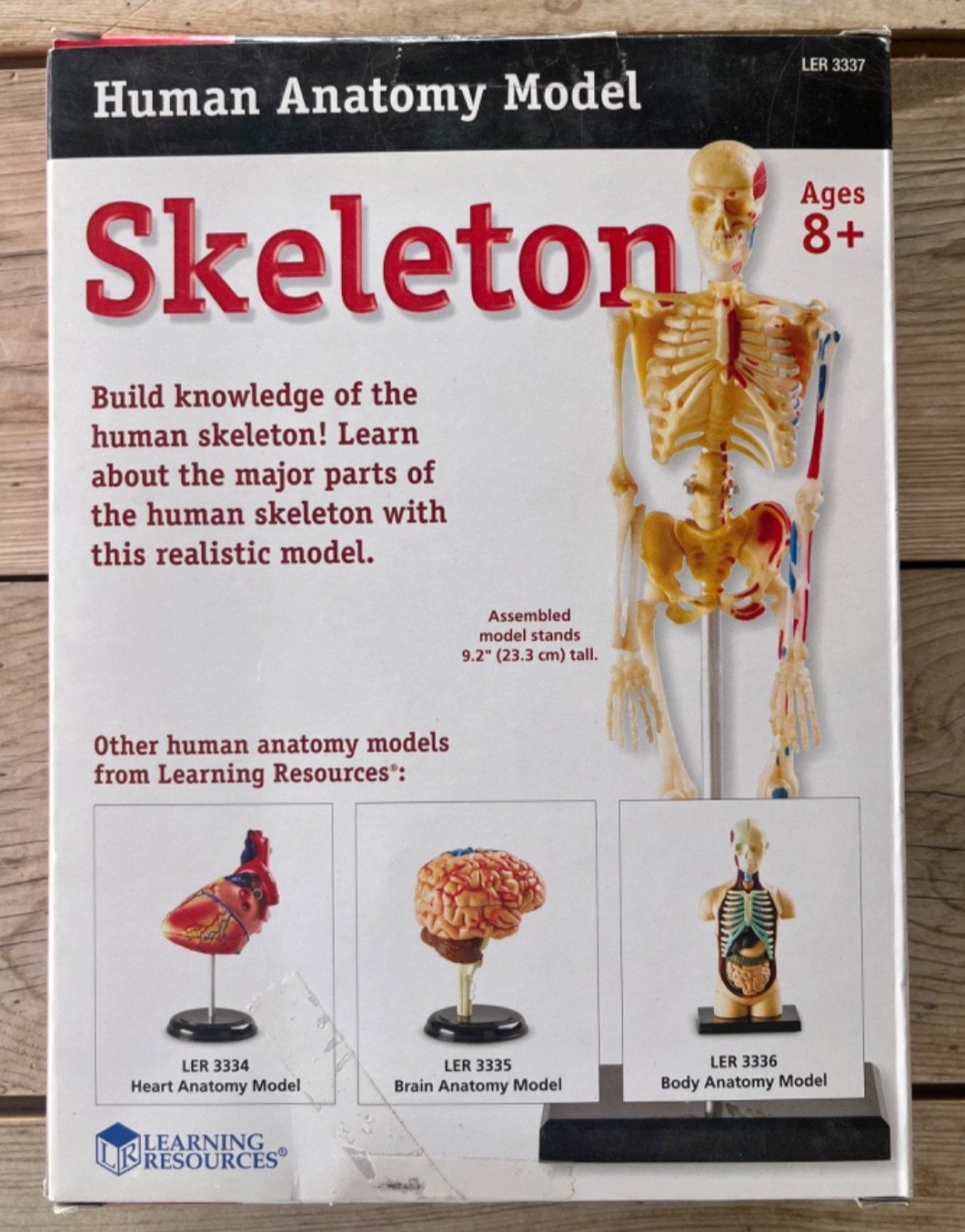 Human Anatomy Model Skeleton 41 Pieces Ages 8+ Learning Resources
