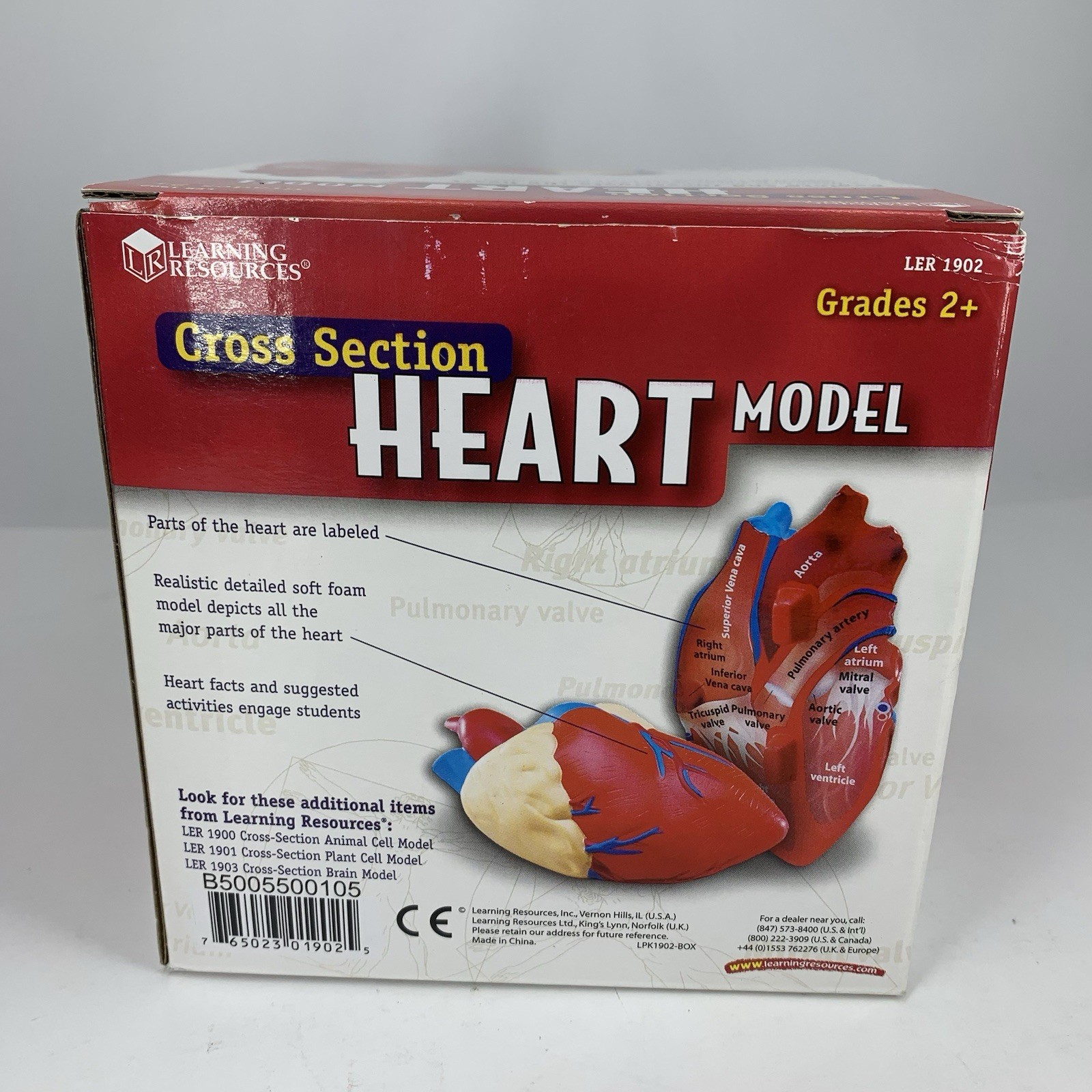 Cross Section HEART Model Learning Resources LER 1902 Soft Foam Anatomy Grade 2+