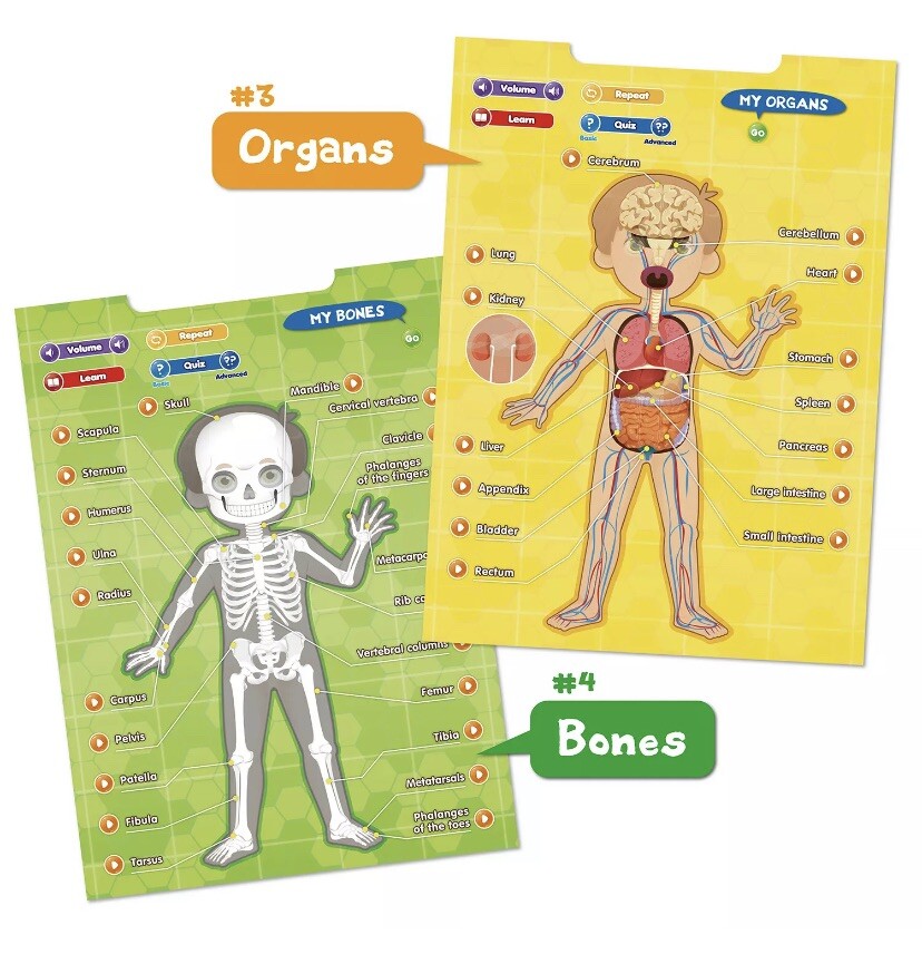 BEST LEARNING i-Poster My Body