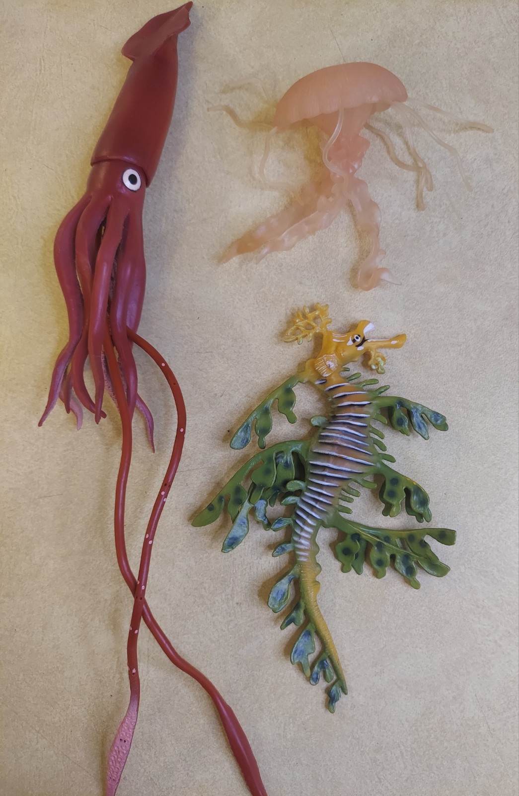 Lot of 3 Retired Safari Animal Giant Squid Leafy Seadragon Jellyfish Monterey