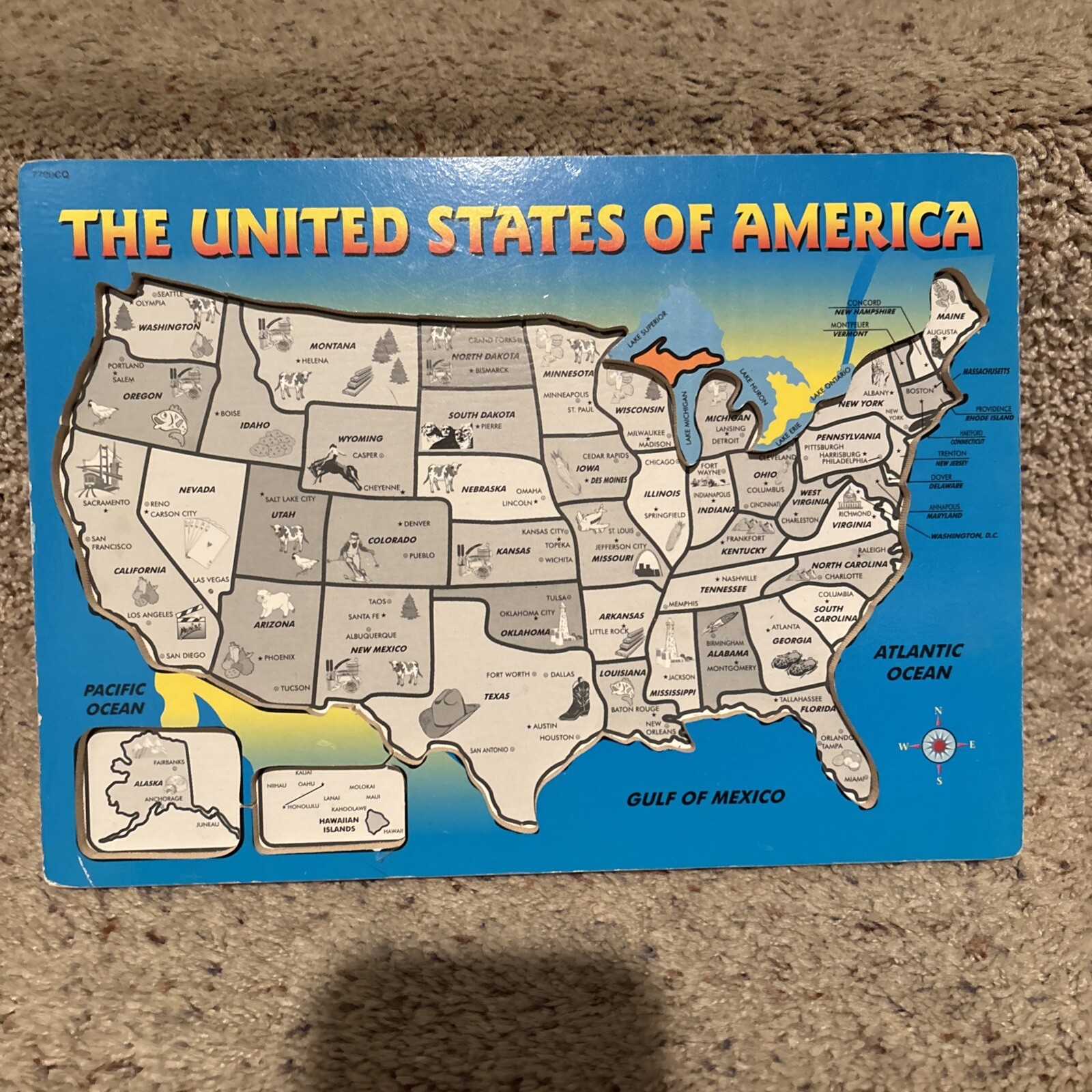 THE UNITED STATES OF AMERICA USA Educational Map Puzzle Lift & Learn Pegs