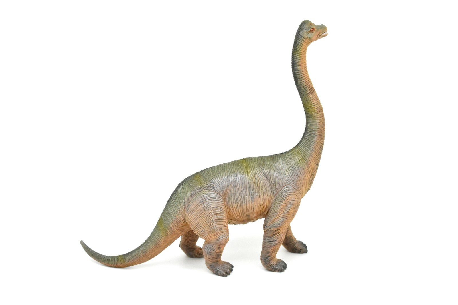 Brachiosaurus Toy, Dinosaur Model, Realistic Plastic Replica, 14″ CWG161 BB37