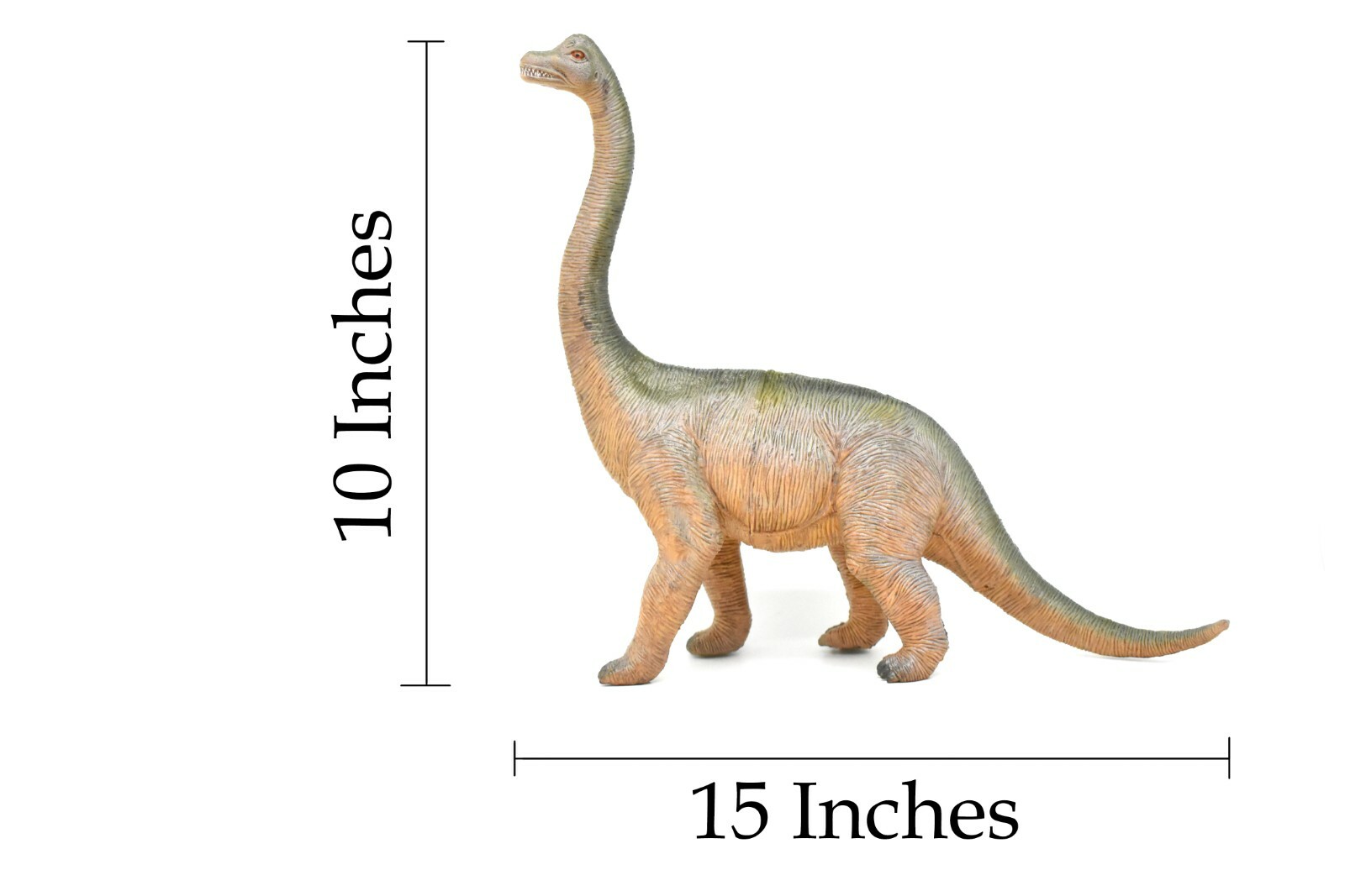 Brachiosaurus Toy, Dinosaur Model, Realistic Plastic Replica, 14″ CWG161 BB37