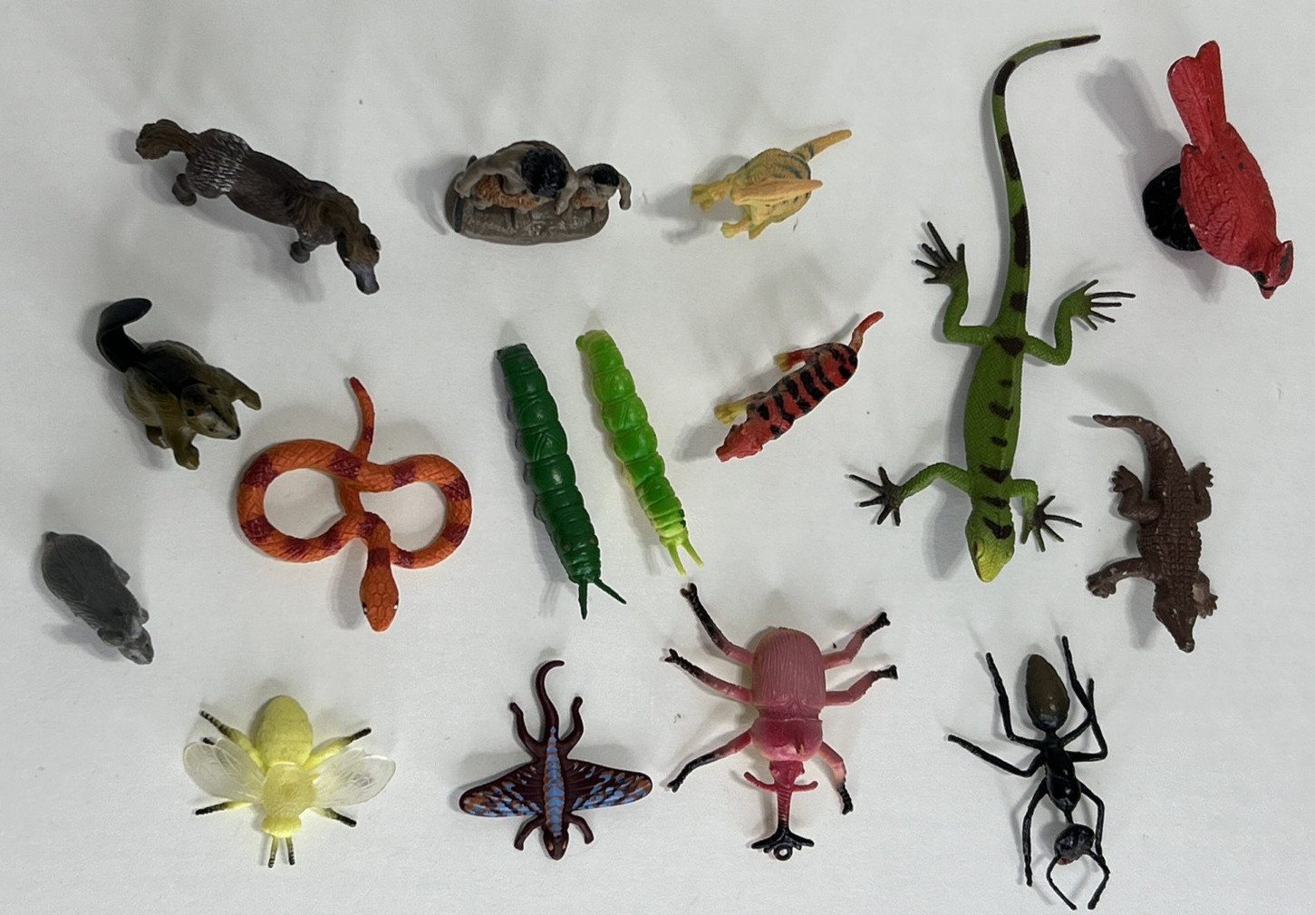 16 pc Lot Realistic Plastic Animals Bugs Insects Figurine Figure Toy Dino Tiger