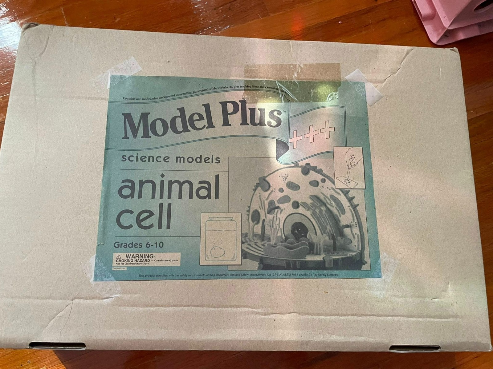 Model Plus Animal Cell Science Models Vintage foam 3d Model Complete