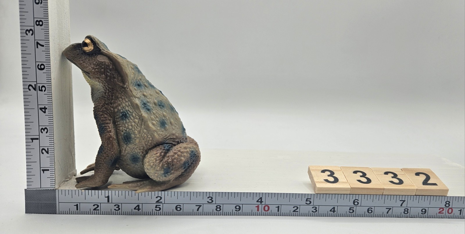 Large Toad Figure Toy Child Plastic Gift Figura Sapo Grande Juguete Plástico 229