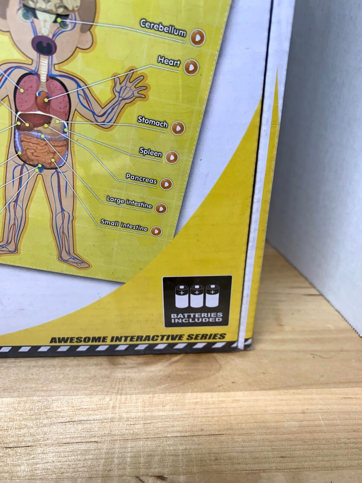 BEST LEARNING i-Poster My Body