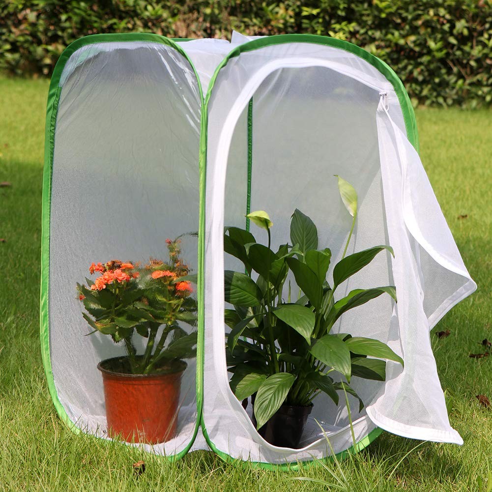 RESTCLOUD Professional Butterfly Habitat 15.7 x x 23.6 inches, Green