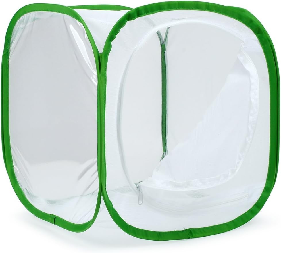 Insect and Cage Terrarium Pop-up 12 X 12 X 12 Inches