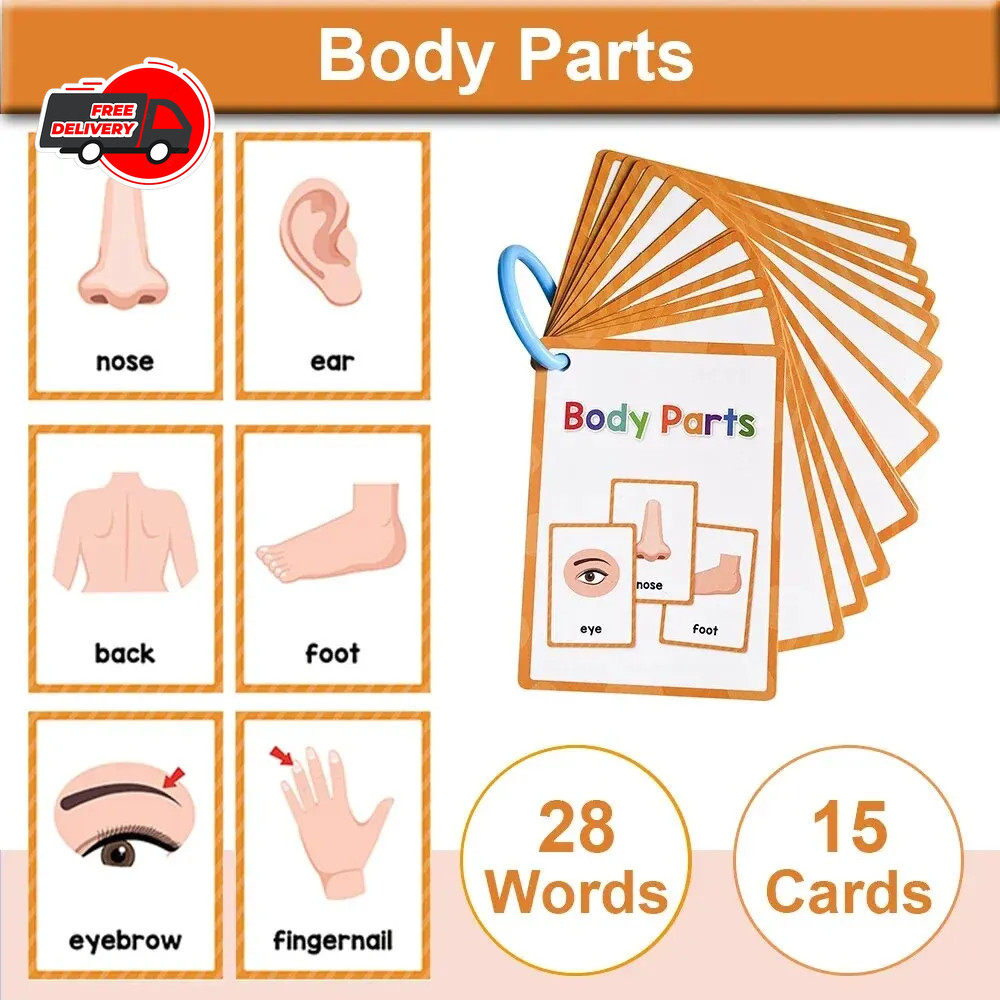 Montessori English Vocabulary Learning Cards for Kids Kindergarten Teaching Aids