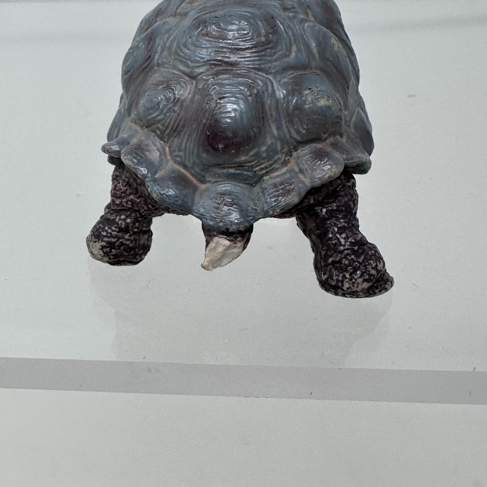Schleich Tortoise Figure Gray Land Turtle Wildlife Zoo Safari Animal Figurine 3″