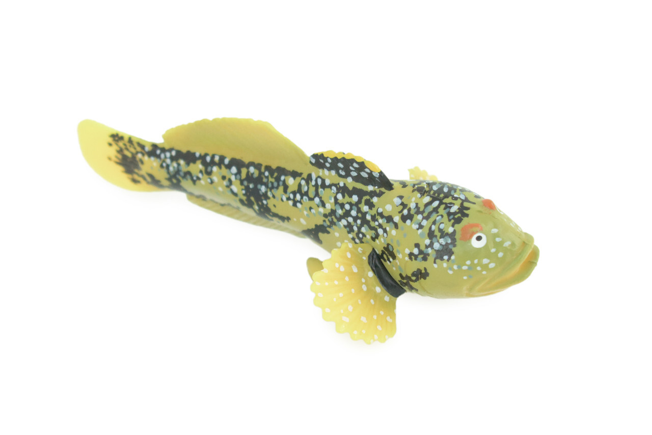 Lingcod Fish Toy, Realistic Hand Painted Rubber Fish Cod, Model 4.5″ CH787 BB185
