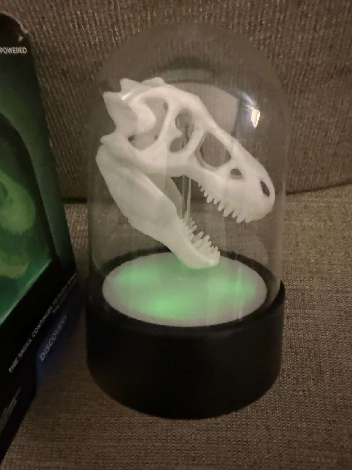 Discovery Channel Glow in the dark T-Rex skull Toys Night Light Dinosaur Dino