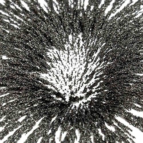 Magnetic Iron Filings for Science Experiments – 32oz Iron Powder with Shaker Lid