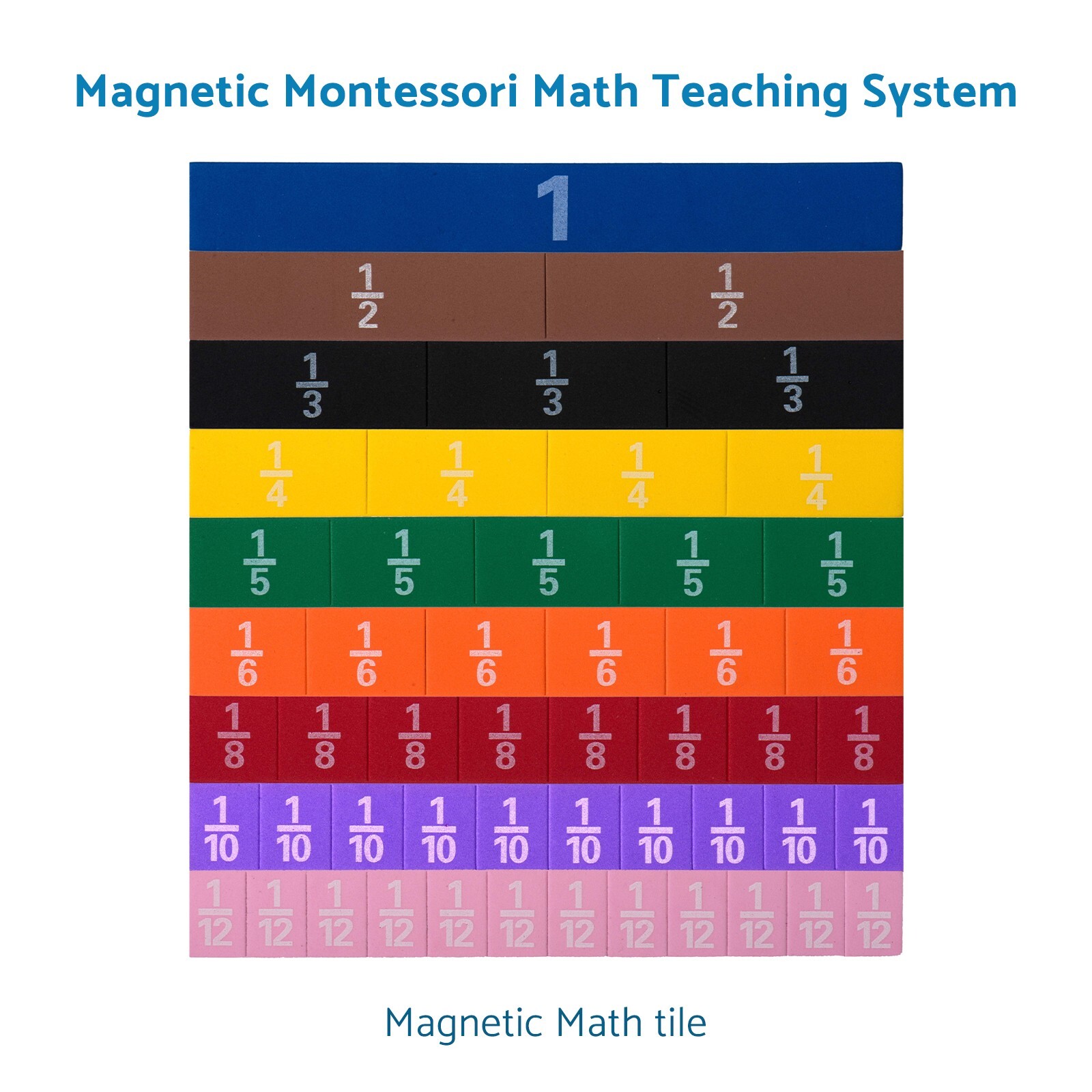 Montessori MAGNETIC FRACTION TILE Math Teaching System Fun & Learning Experiencs