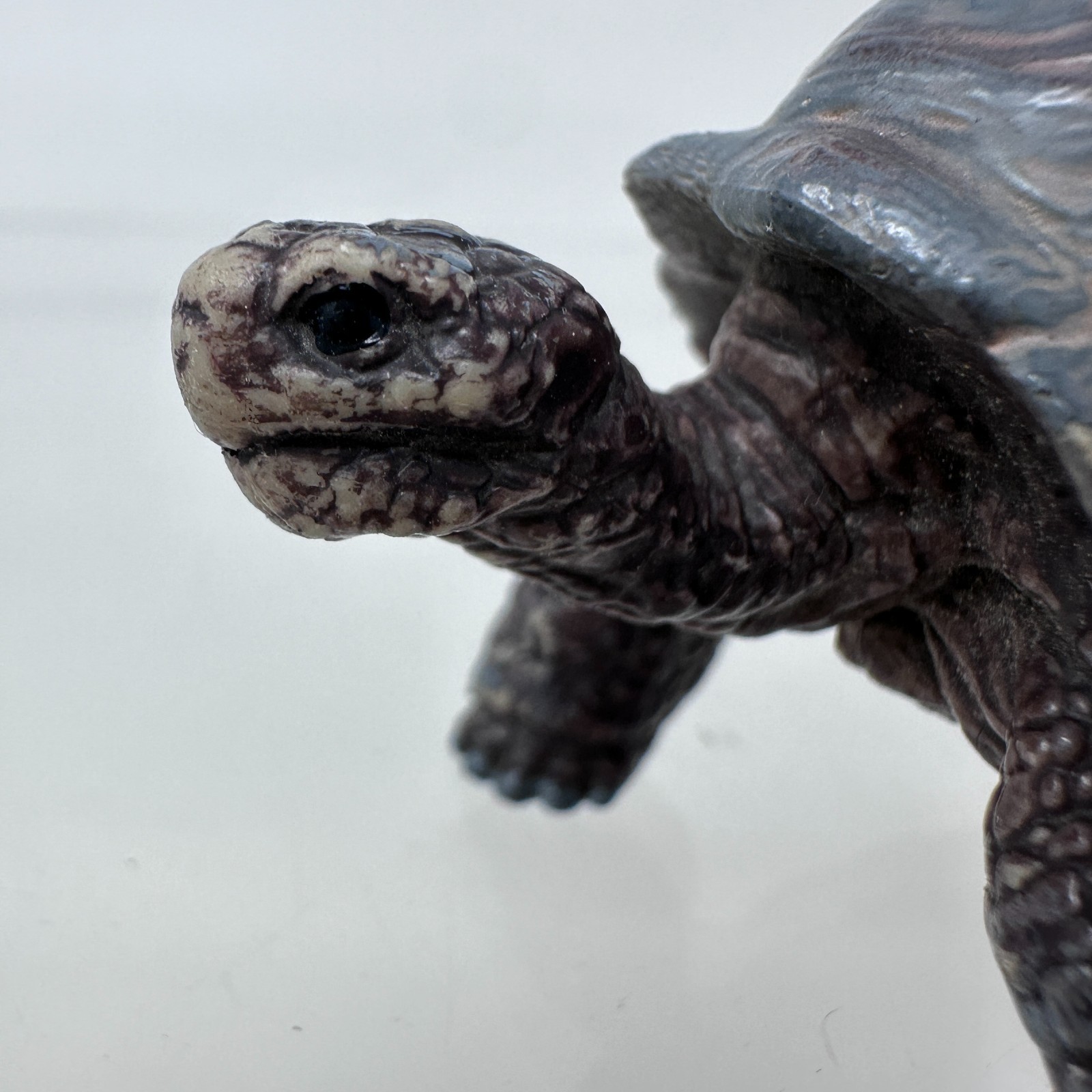 Schleich Tortoise Figure Gray Land Turtle Wildlife Zoo Safari Animal Figurine 3″