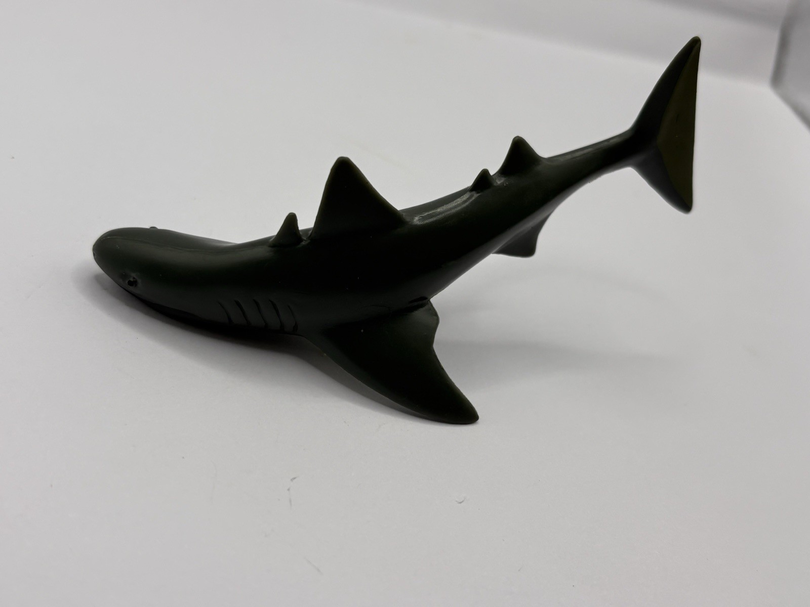 Safari Ltd Extinct Shark Cladoselache PVC Plastic Toy Figure Prehistoric Toob