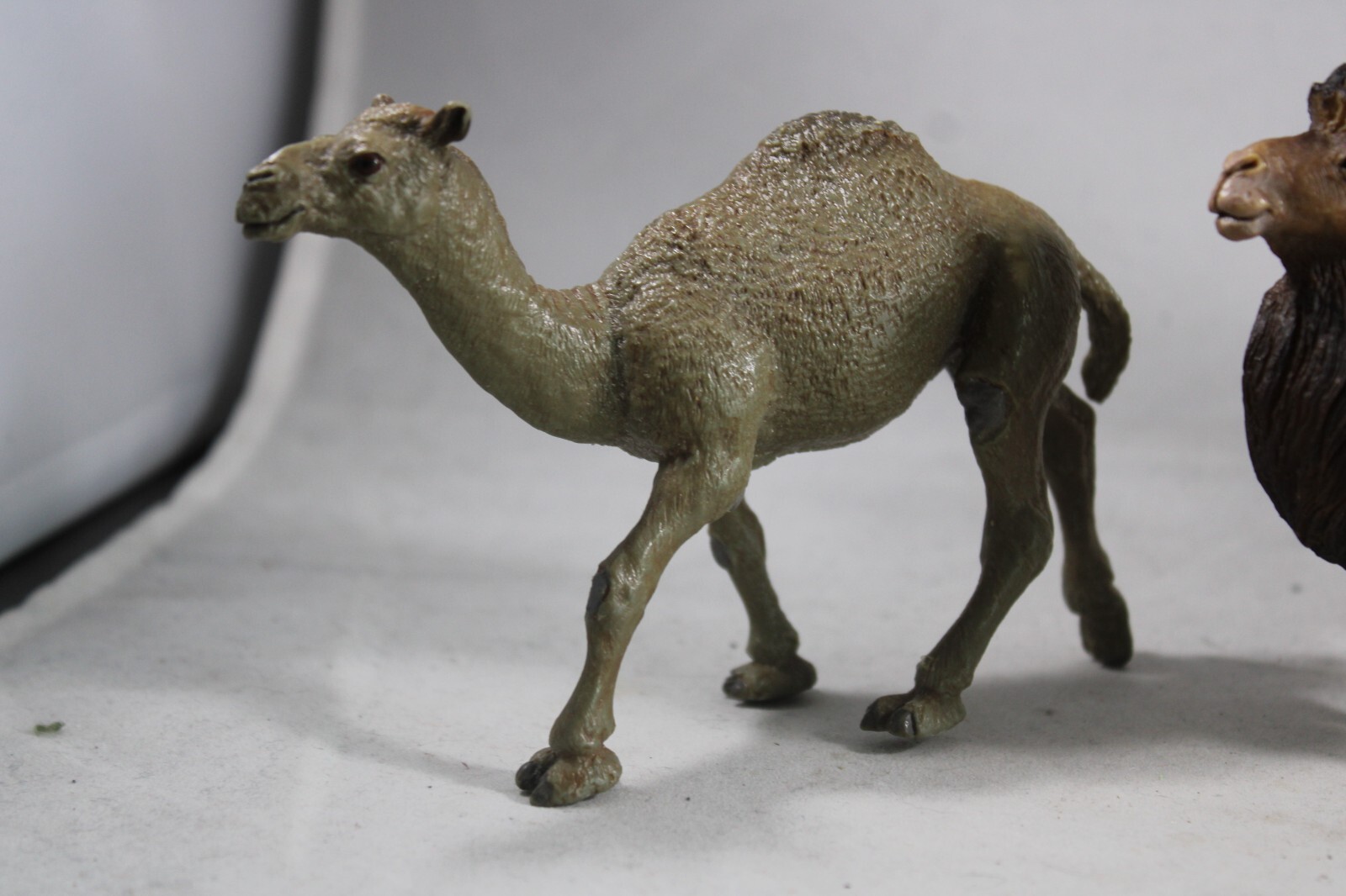 DROMEDARY Bactrain CAMEL Animal Figurine Safari Ltd. toy Figure Giraffe