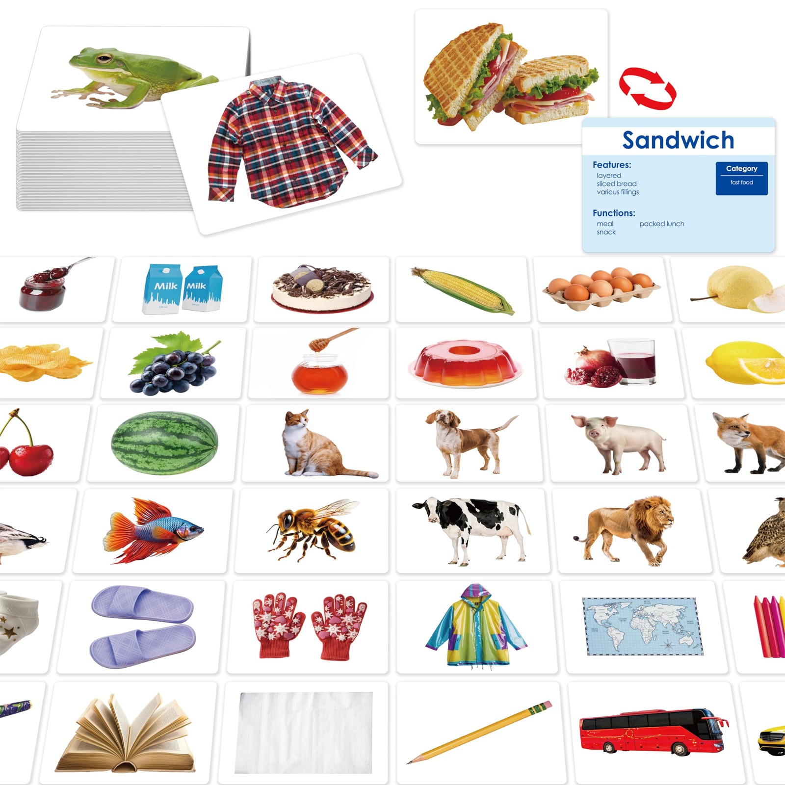 140 Noun Picture-Word Cards, Picture Flashcards Language Builder Visual Aid S…