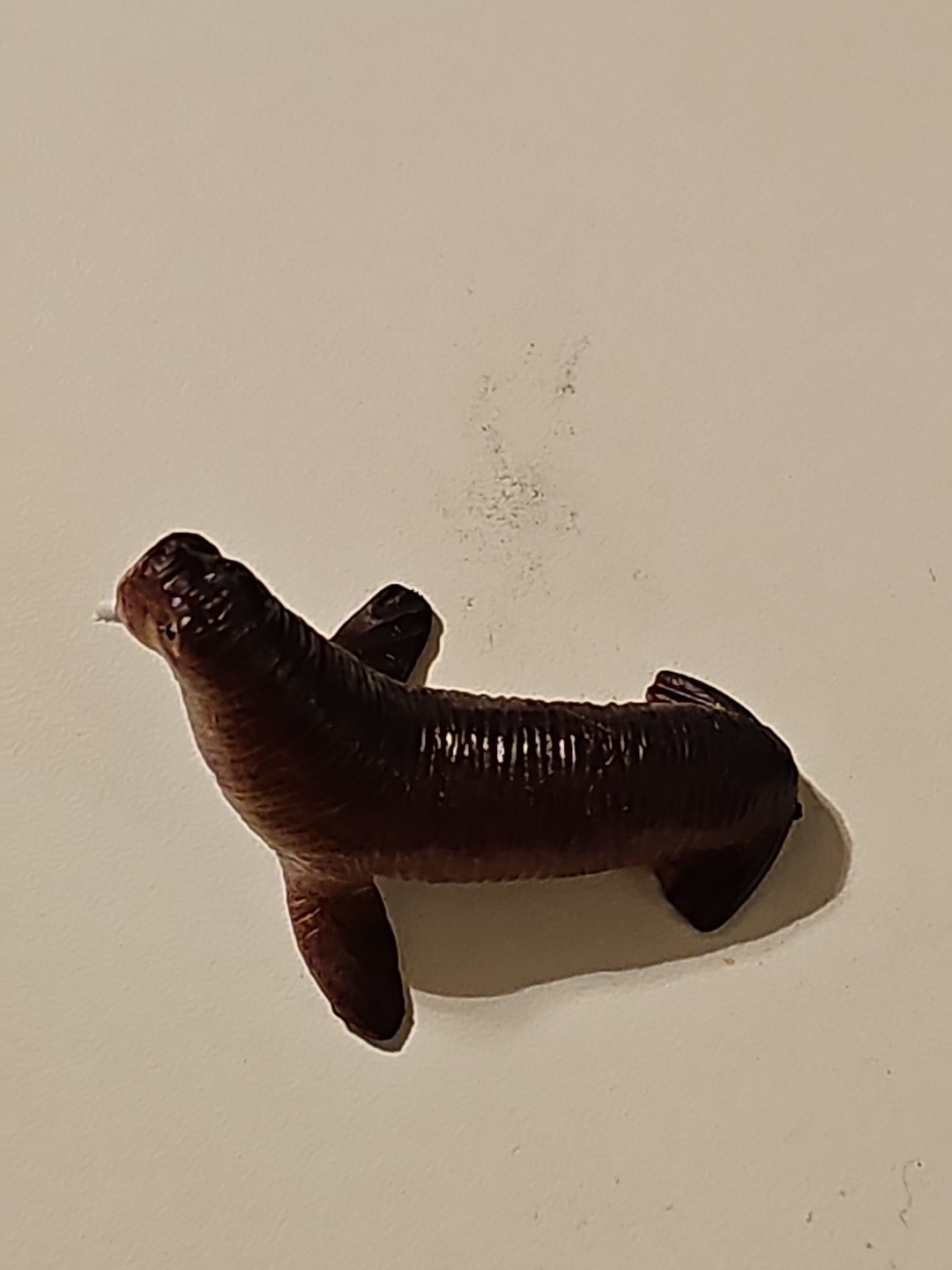 Unbranded Brown Sea Lion Plastic Toy Figure- 2.5 Inches Long, 1 Inch Tall