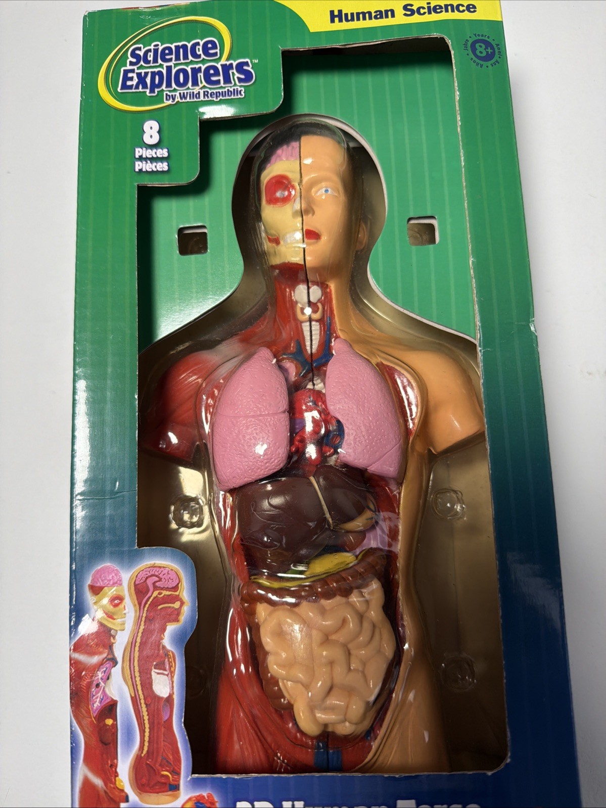Science Explorers, Wild Republic 3-D Human Torso, Snapped Together Model 8 Pc￼