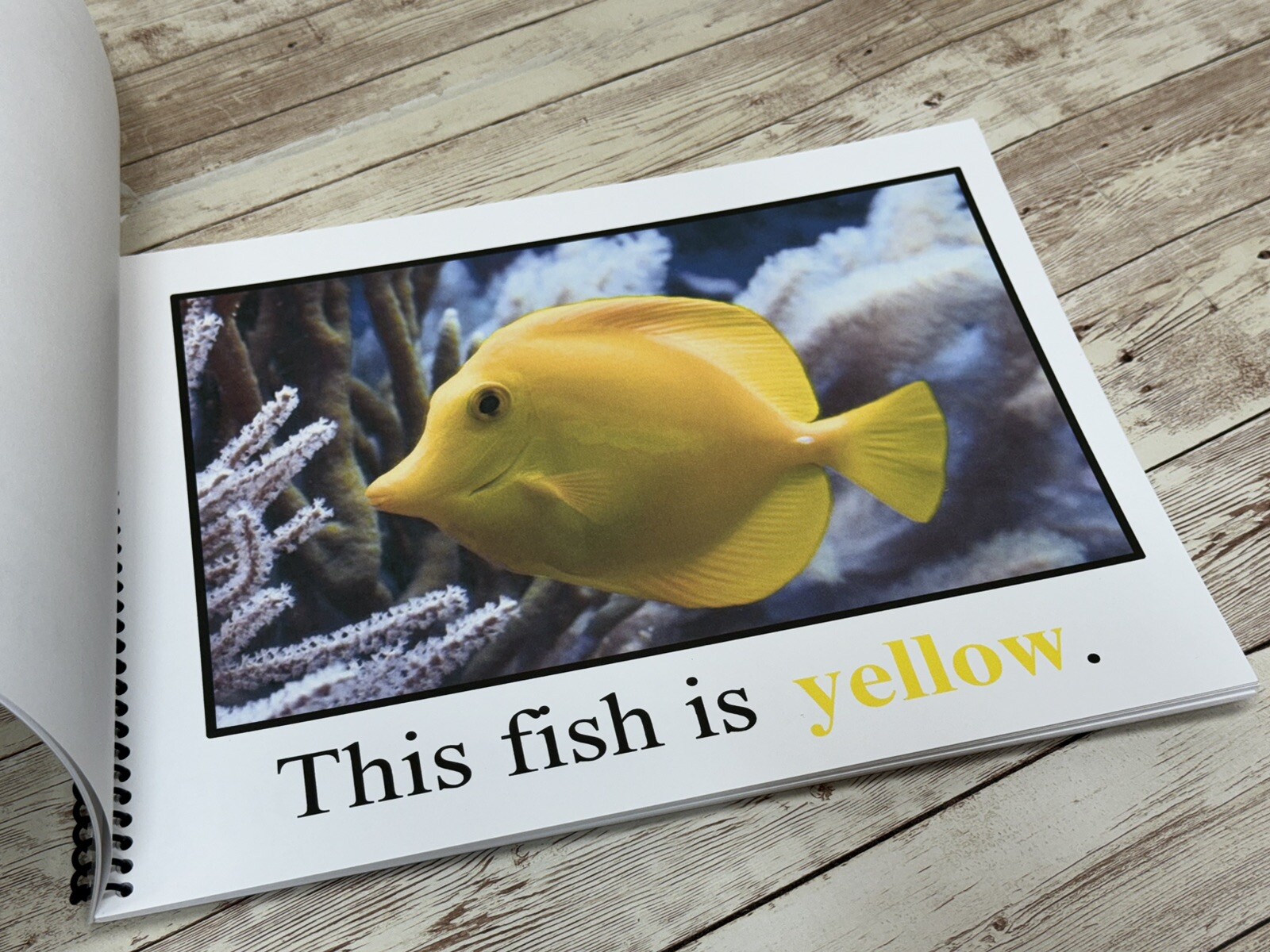 YELLOW | Bananas are Yellow | LEARNING COLORS | Spiral Bound Picture Book