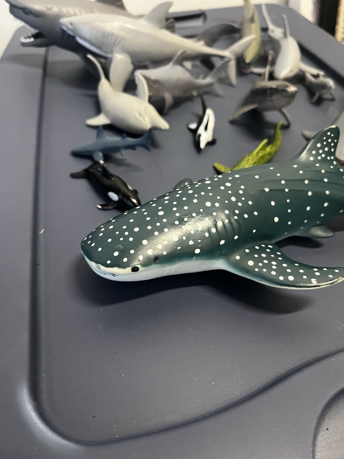 PLAY VISIONS miniature plastic SHARK animals Dolphin