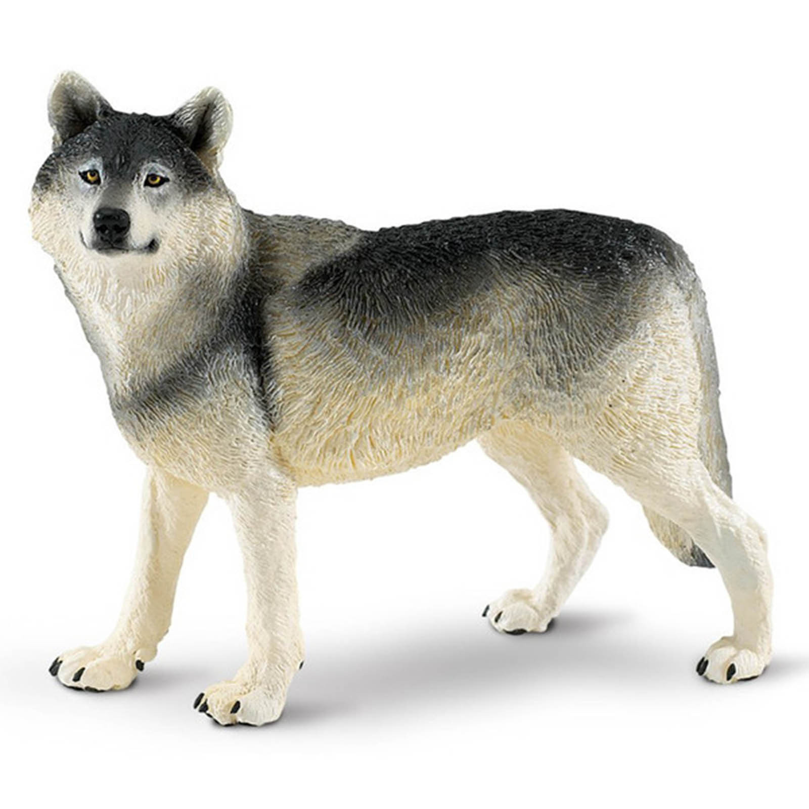 Gray Wolf Wildlife Wonders Figure Safari Ltd NEW Toys Educational Figurines