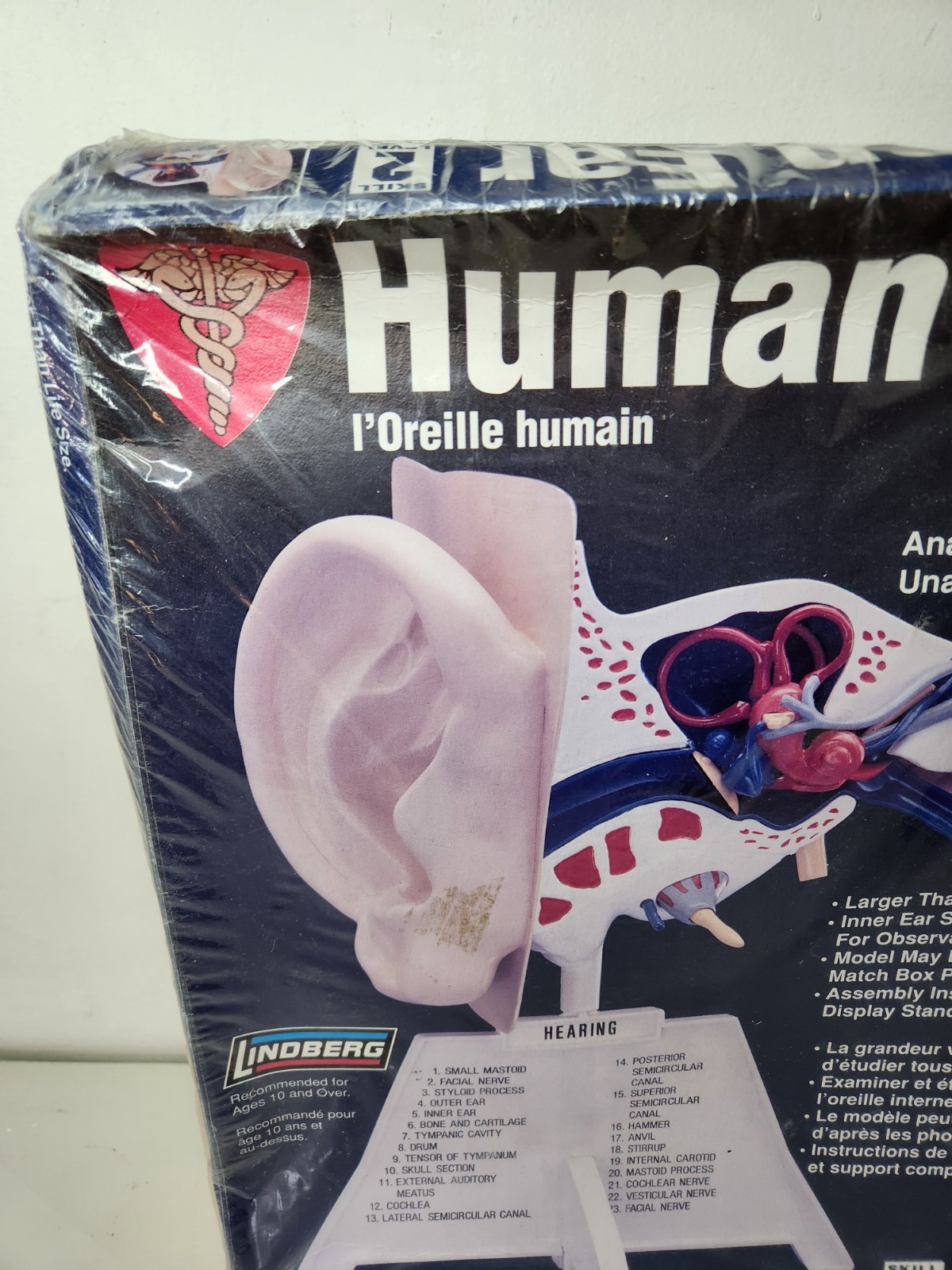 Lindberg Science Kits – Human Ear Unassembled Model Kit – NEW Sealed 71308