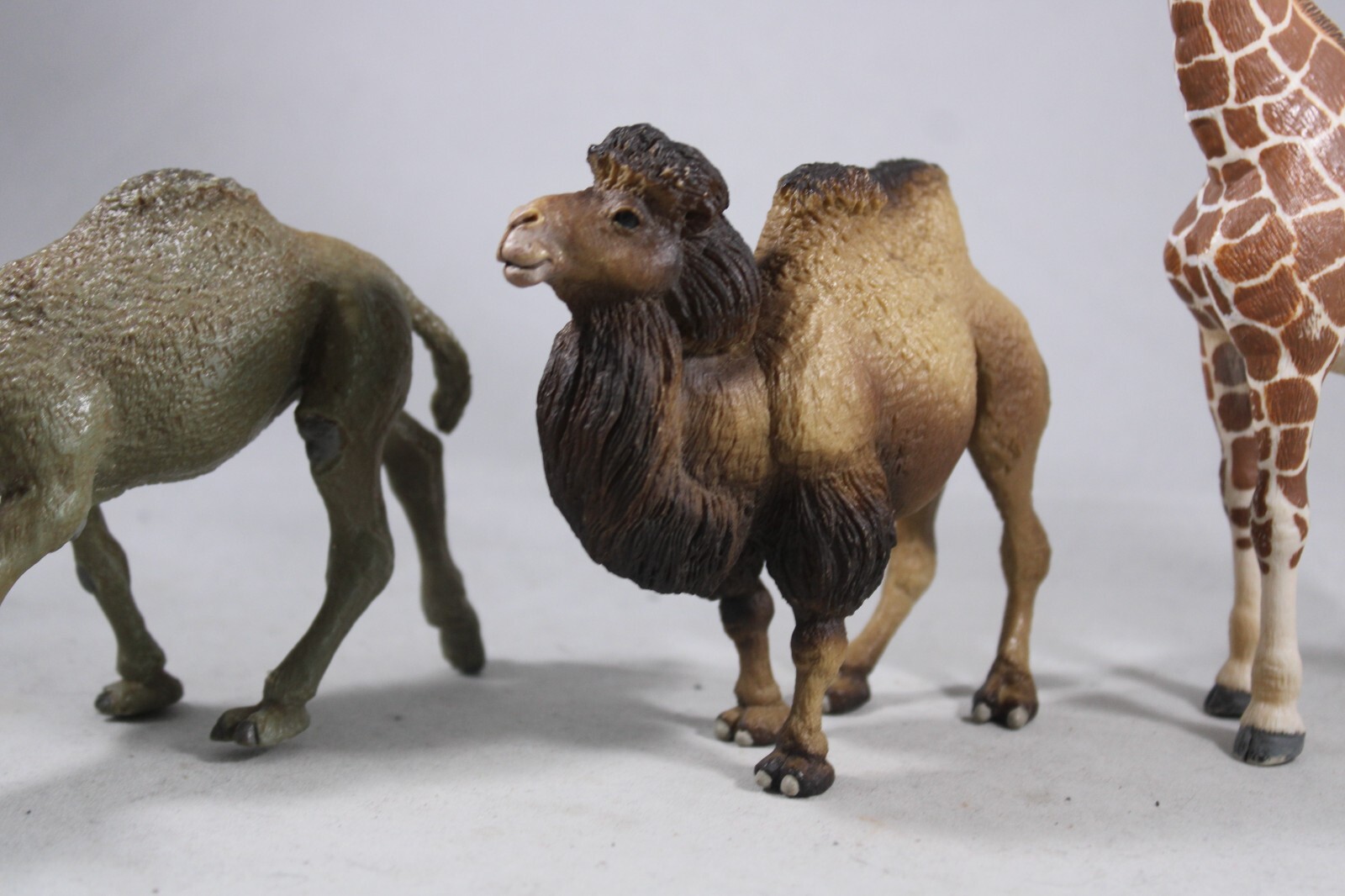 DROMEDARY Bactrain CAMEL Animal Figurine Safari Ltd. toy Figure Giraffe