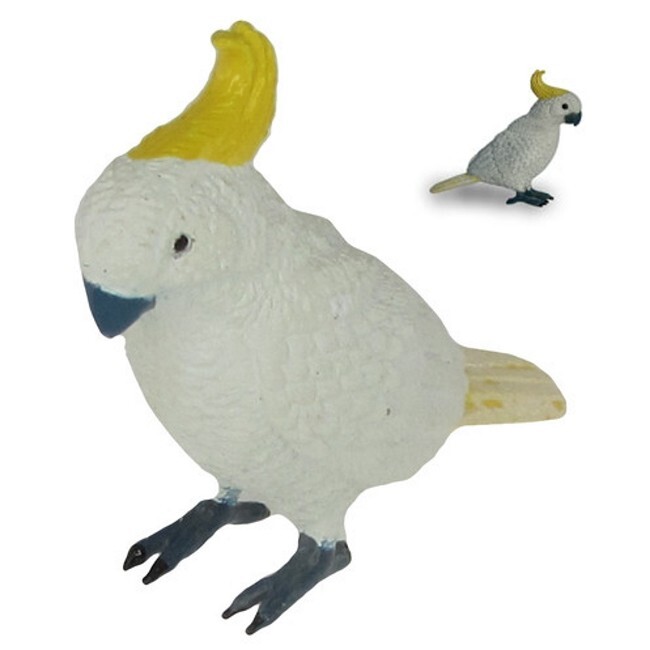 9 Australian Birds: Kiwi, Blue Wren, Cockatoo, Lorikeet, Emu, Kakapo, Kakariki