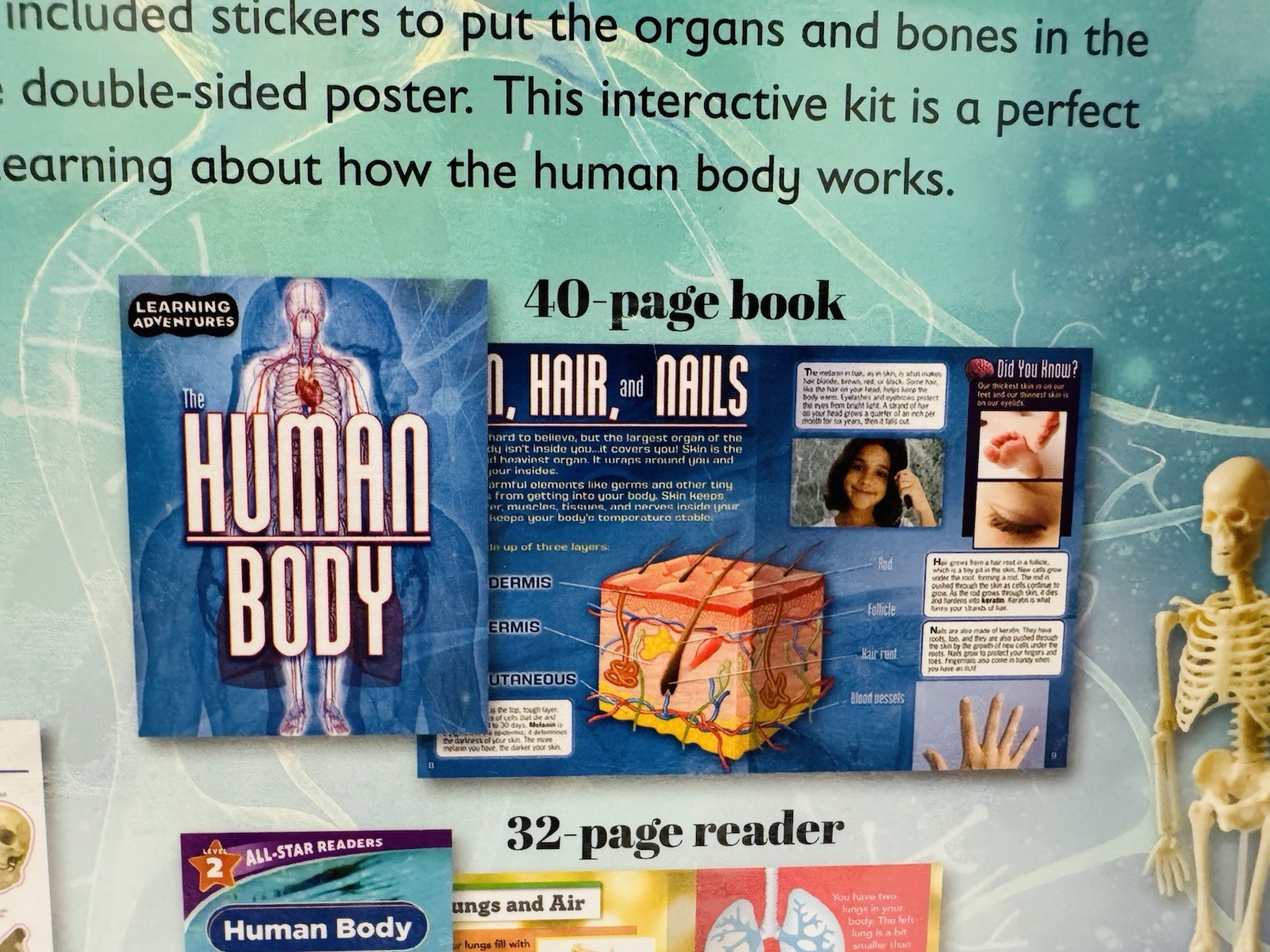 Adventures in Science: The Human Body Interactive Learning Kit 3D