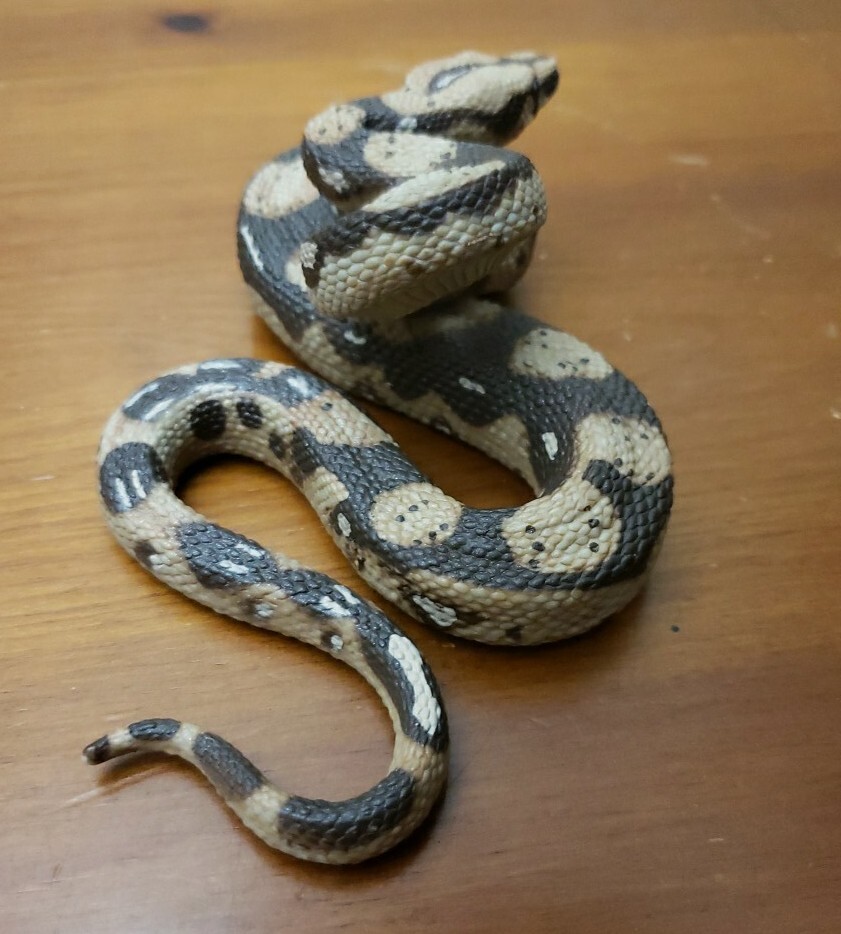 Boa Constrictor Python Realistic Toy Snake Education Prank Safari Ltd Animal Fig