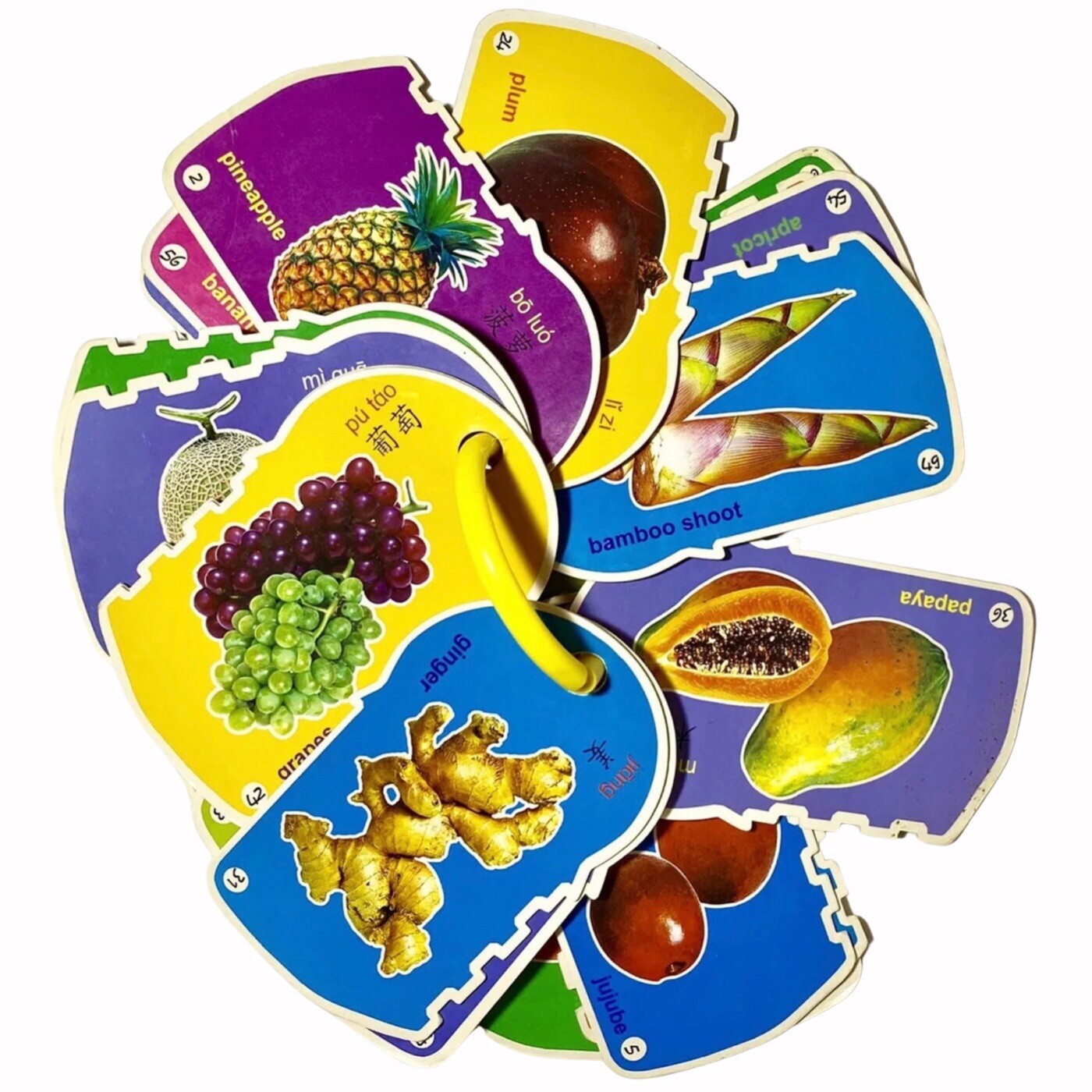 30 Double-Sided Bilingual Chinese / English Food Vocabulary Flash Cards