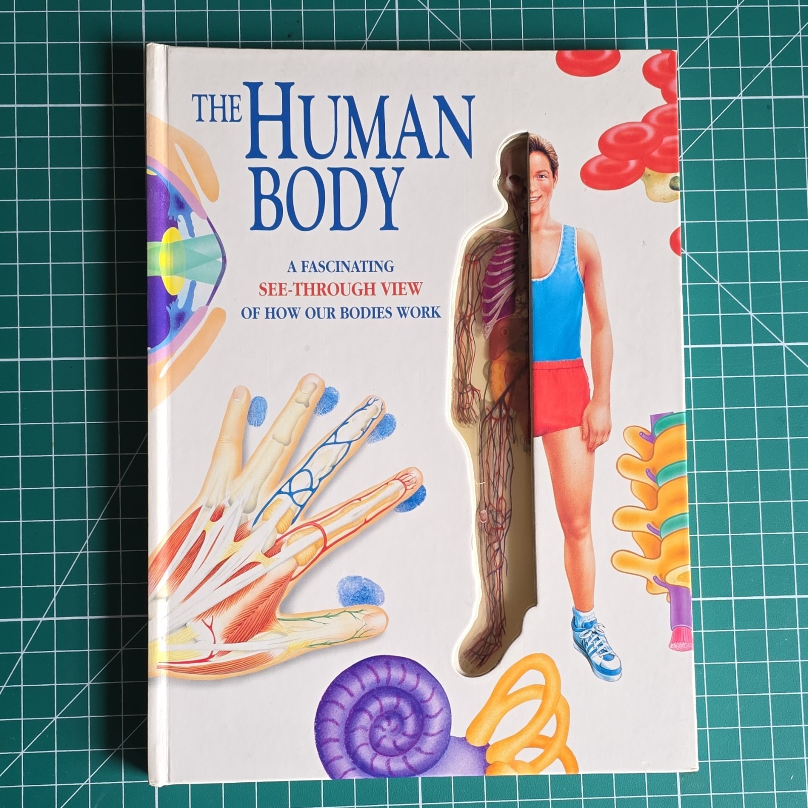 Running Well Books The Human Body See-Through Educational Book 8-11 Years