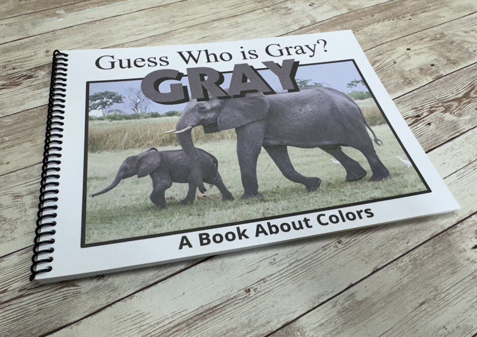 Colors Series – 6 Book Set | LEARNING COLORS | Spiral Bound Picture Book SET 2