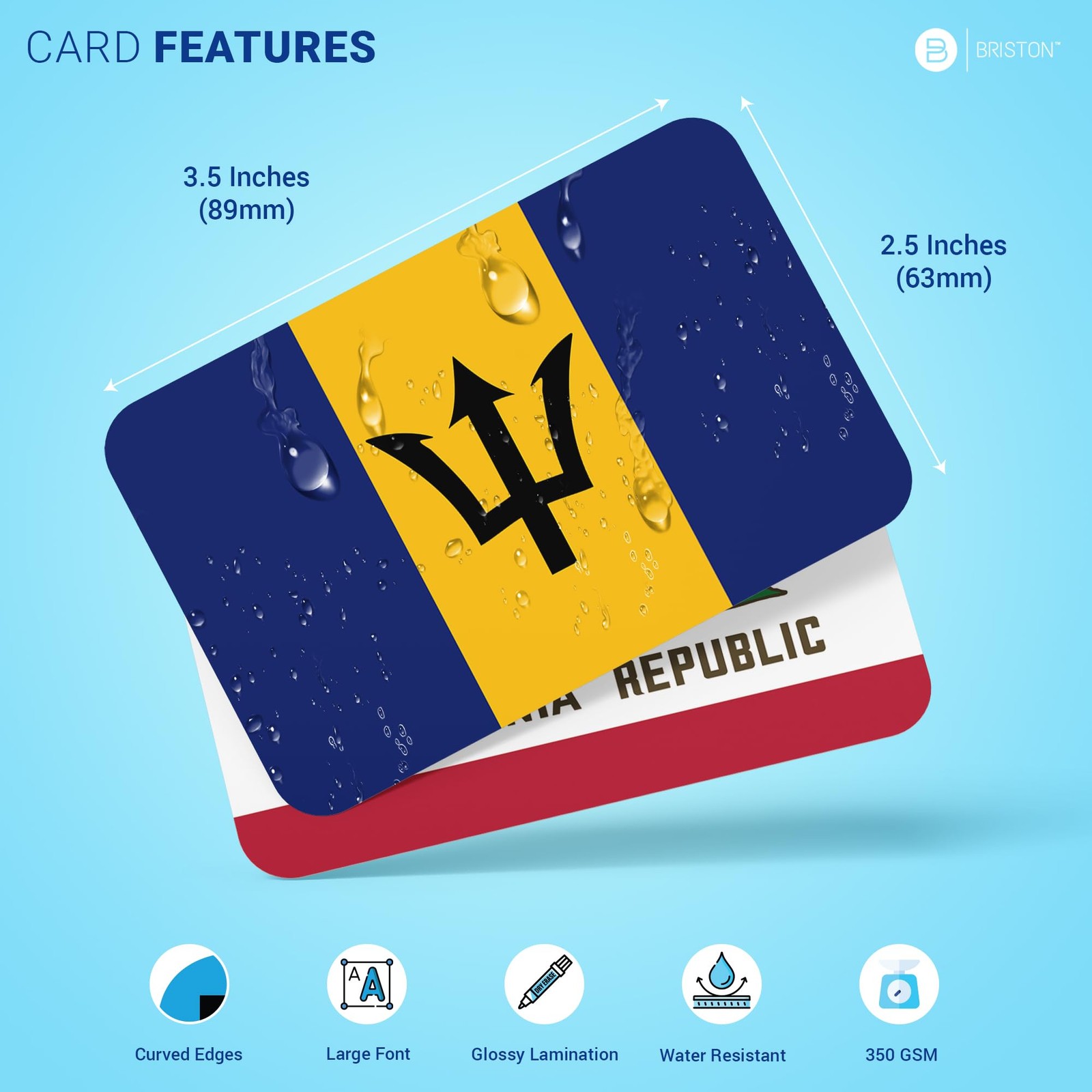 World Nations & US State Flags Flash Cards – 290 Geography Flashcards Kids Teens