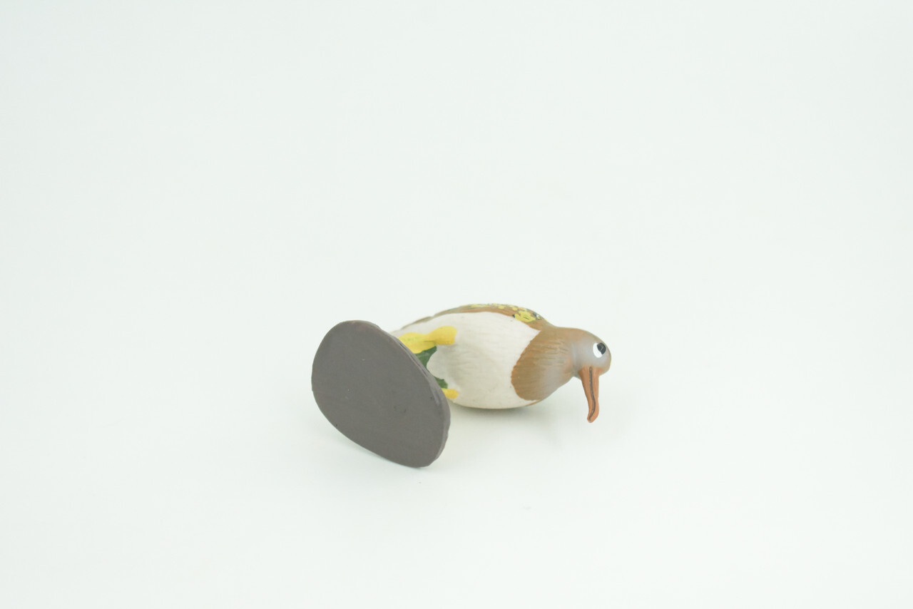 Greater Painted Snipe Toy, Hand Painted Realistic Bird, 2 3/4 Inches CH870 BB199