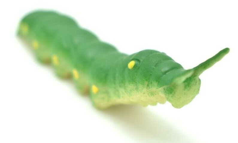 Green Tomato Hornworm Larva Plastic 2.5 inches Length – F1056 B190