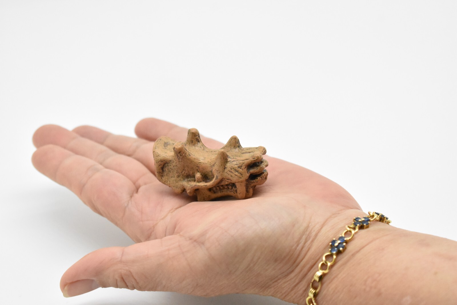 Uintatherium, Fossil Skull Toy, Realistic Plastic Reproduction 2″ F3523 B204