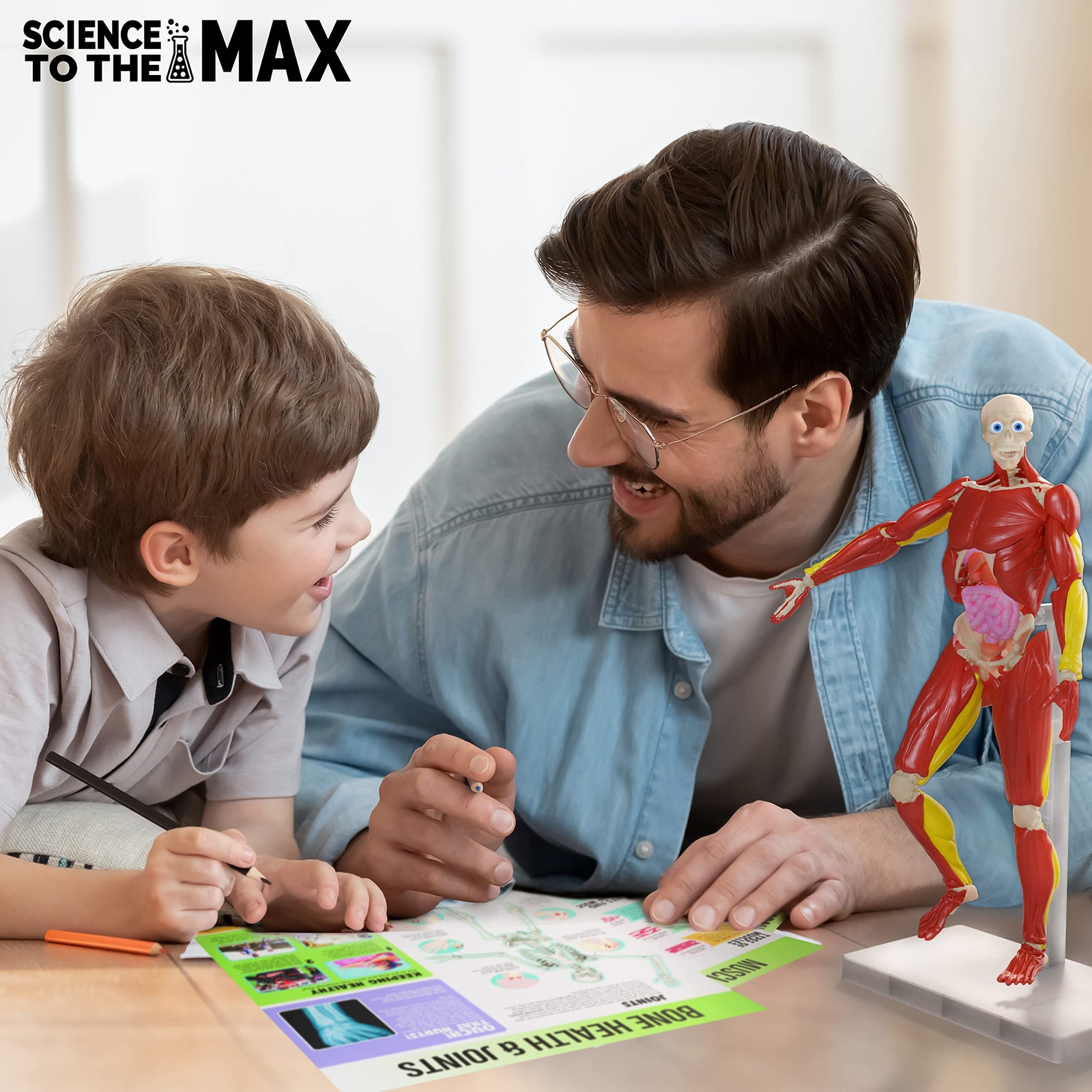 Interactive 3D Human Body Puzzle Model STEM Toy for Kids 8-12 Anatomy Learn