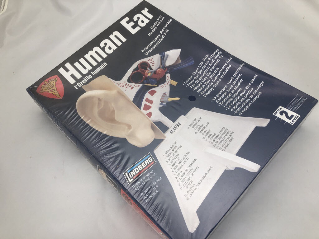 Skilcraft Human Ear Anatomically Accurate Kit Teaching Aid or Unassembled Kit