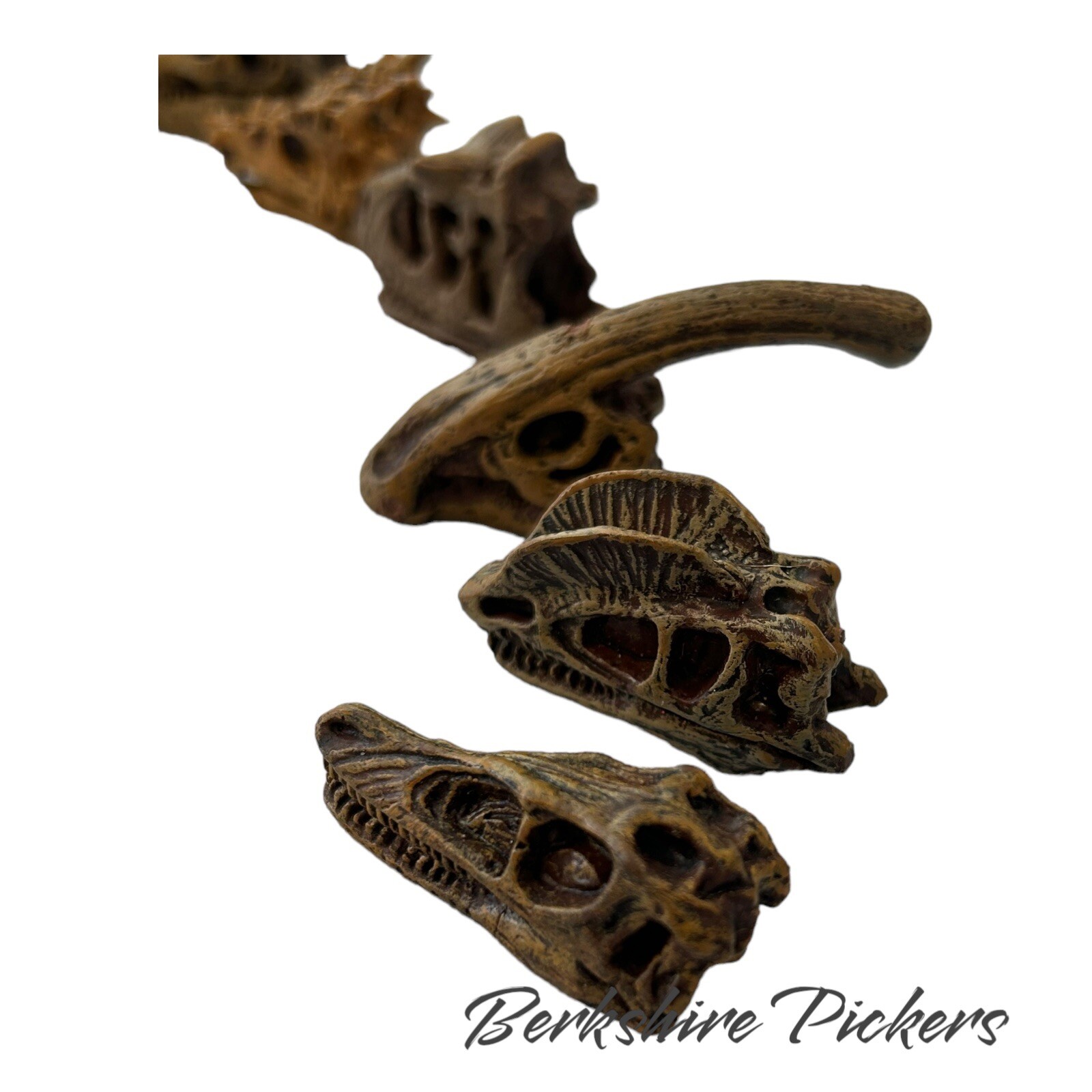 Safari Ltd Dinosaur Skull MINI Replica Lot Of 9