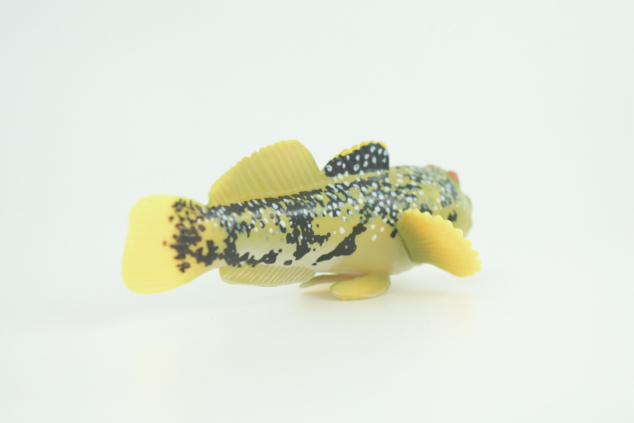 Lingcod Fish Toy, Realistic Hand Painted Rubber Fish Cod, Model 4.5″ CH787 BB185