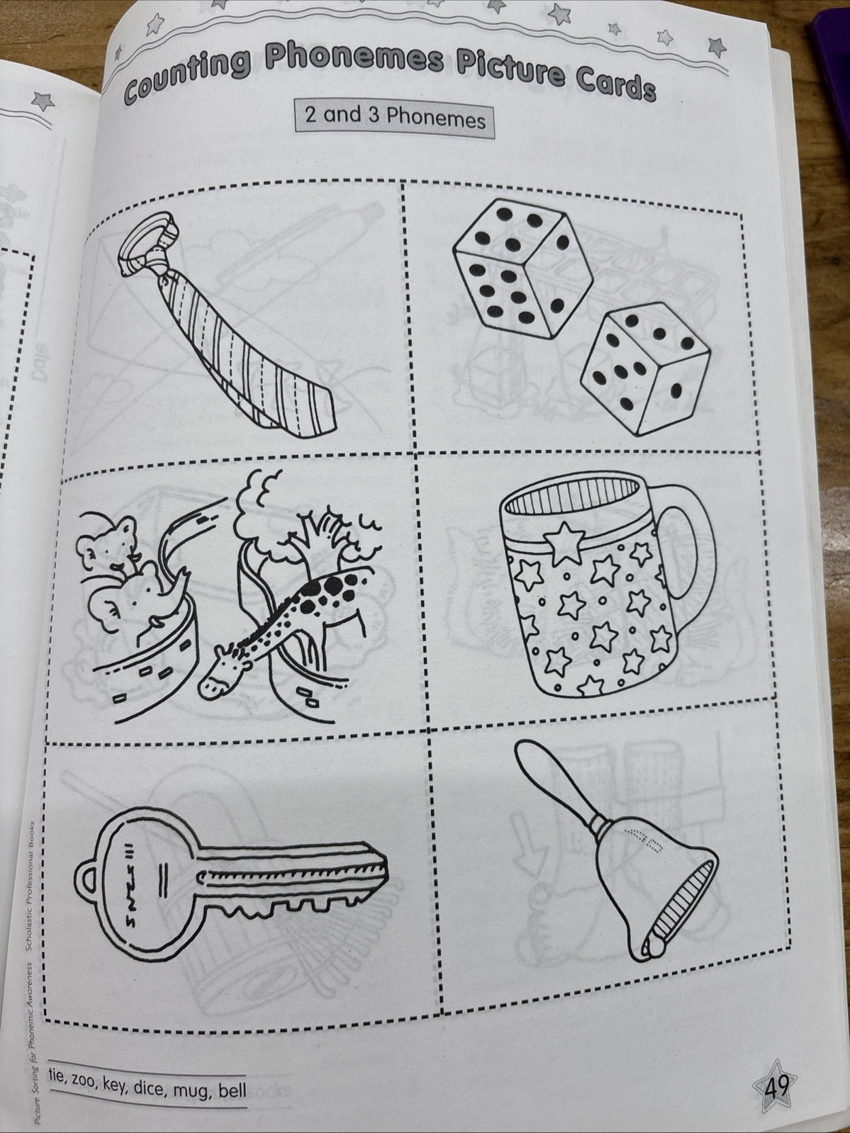 Picture Sorting For Phonemic Awareness, Grades Pre-K/K Scholastic Book