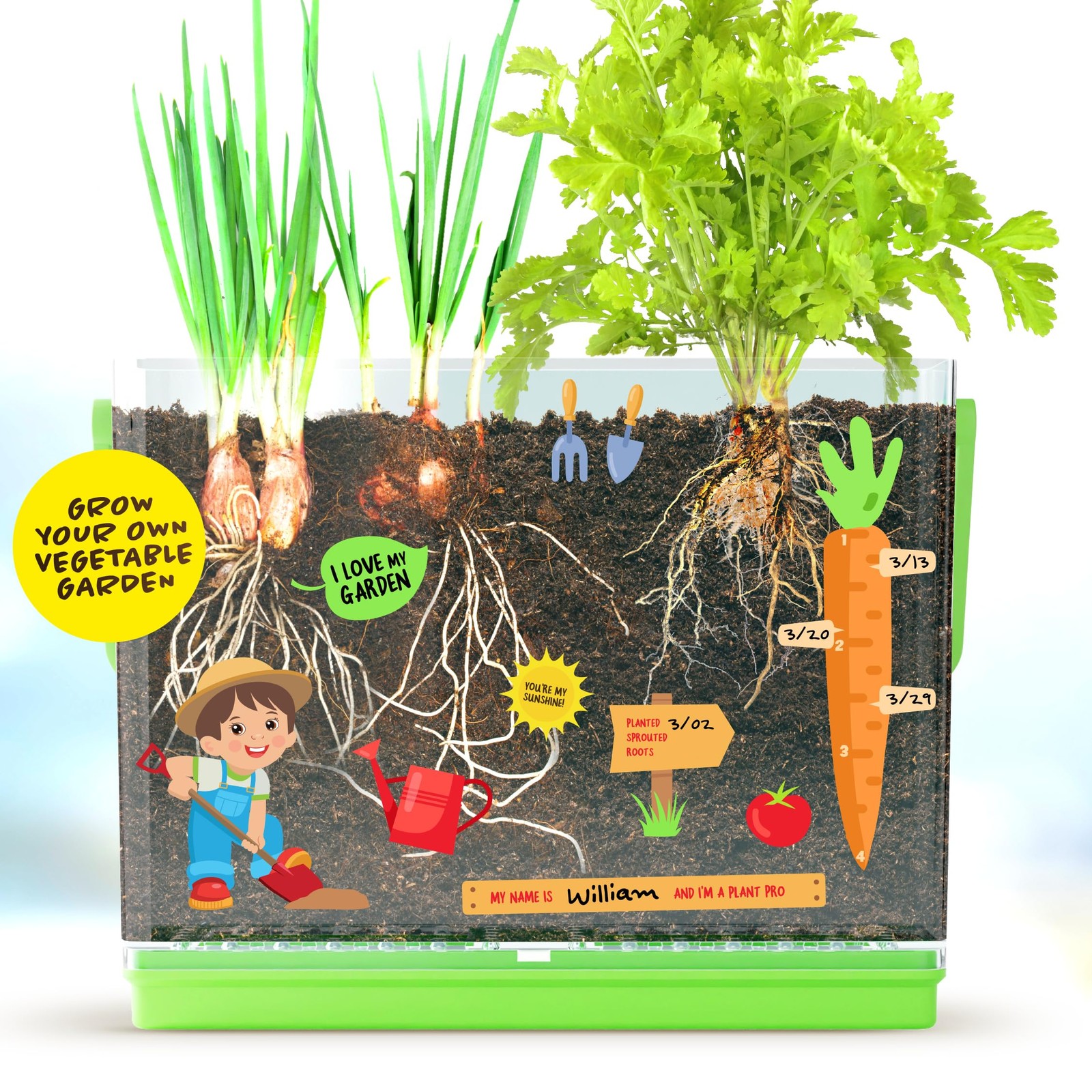 Dan&Darci Root Viewer Kit for Kids – Grow 7.5 x 2 x 5.5 inches, Multicolred