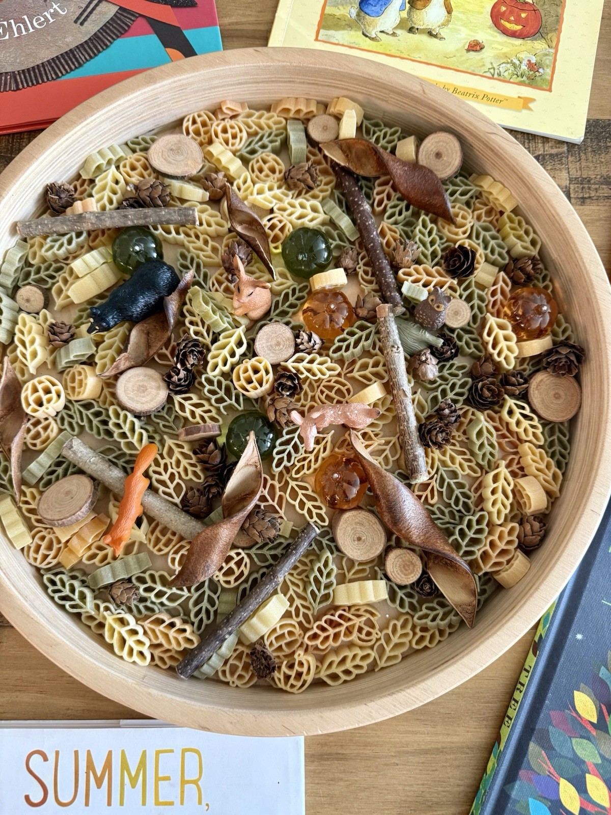 Autumn Fall Picture Book Sensory Bin Kit for Kids Bookish Play Imaginative Play