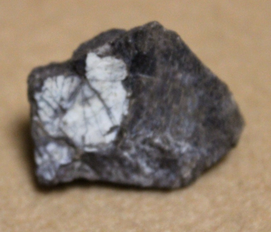 1963 THINGS of Science FOSSILS Unit No 274 by Science Service included 3 fossils
